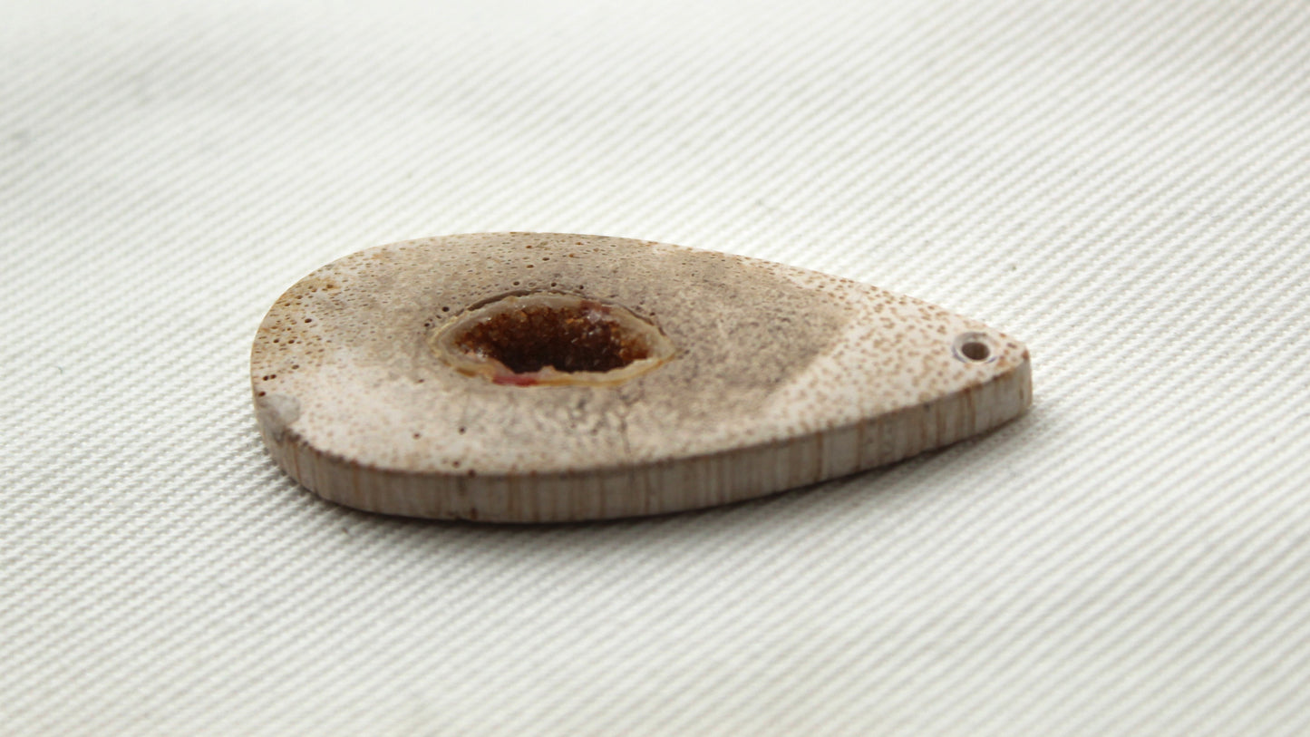 Worm Hole Petrified Wood Cabochon gemstone natural DRILLED