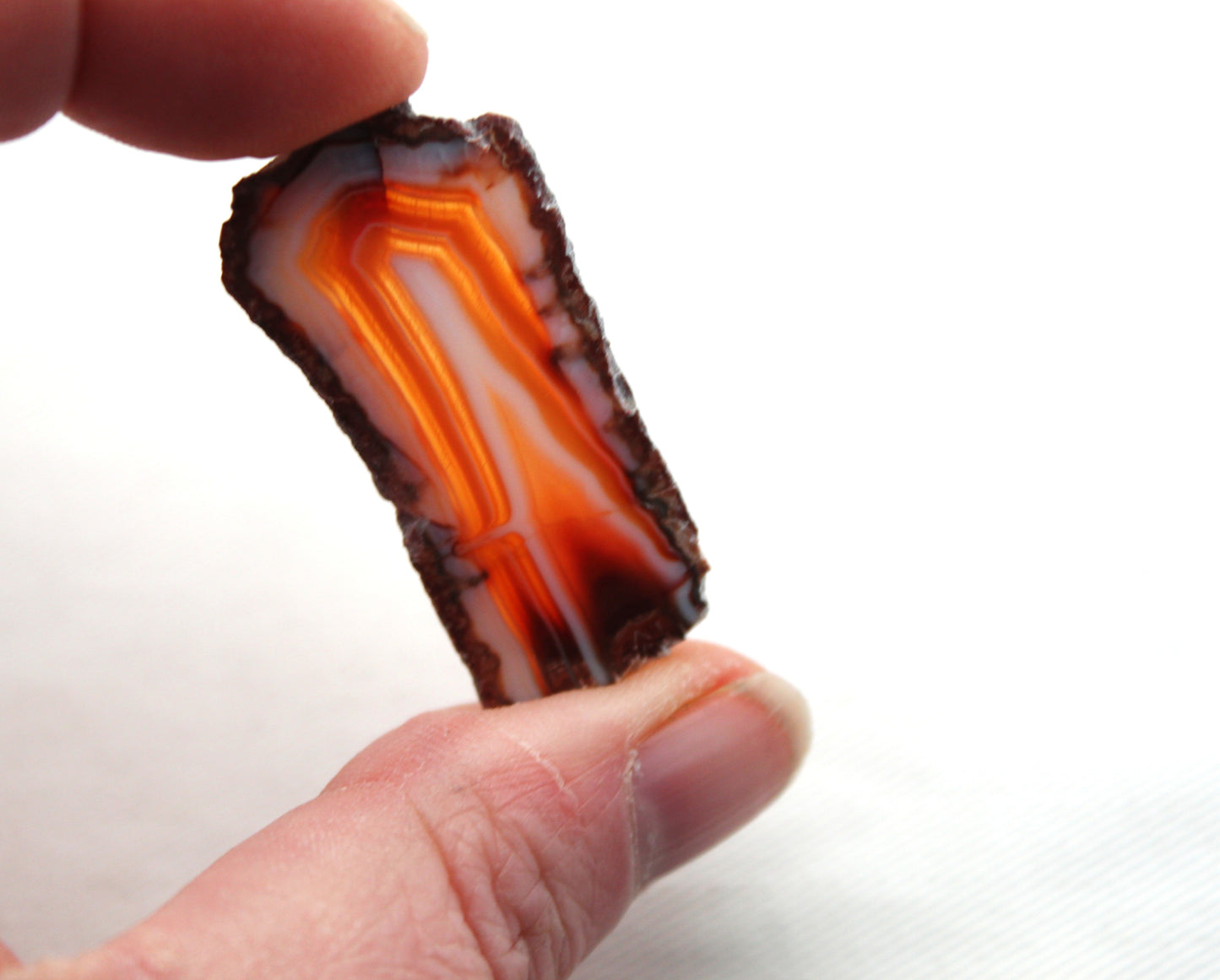 Sliced Agate Pair Gemstones freeform natural