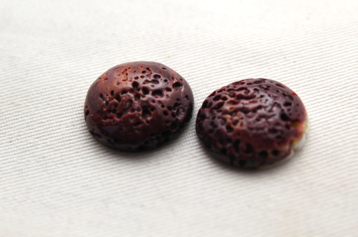 TWO Spiney Oyster purple round 20MM - LAST ONES