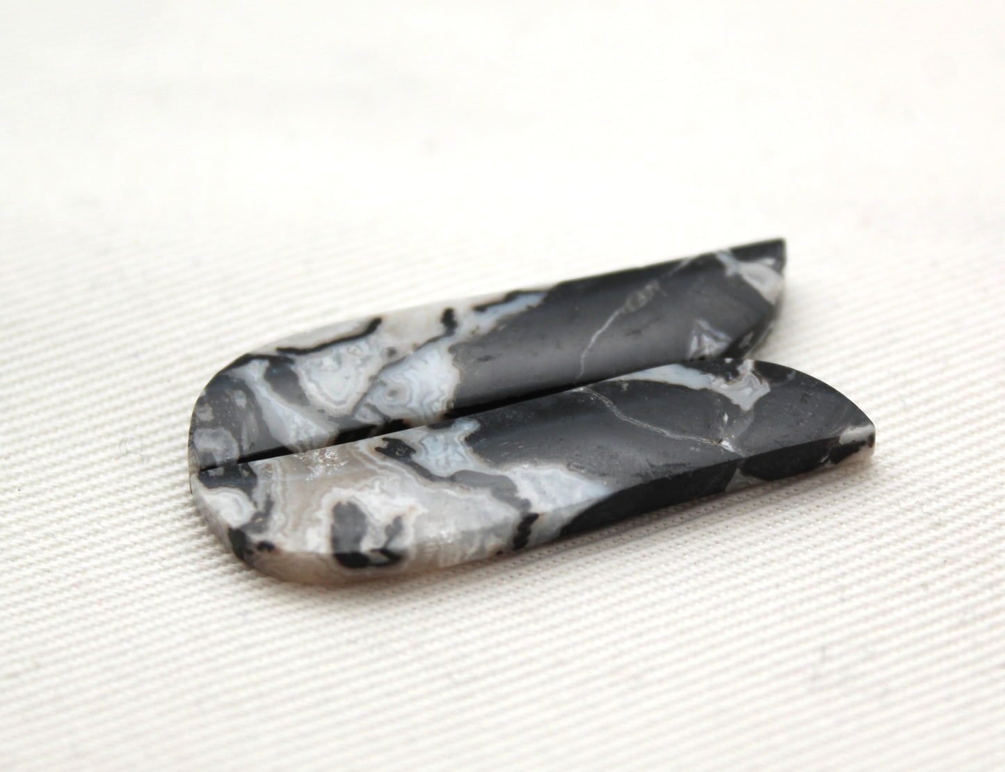 Fossilized Wood Pair of Gemstones cabochon white natural