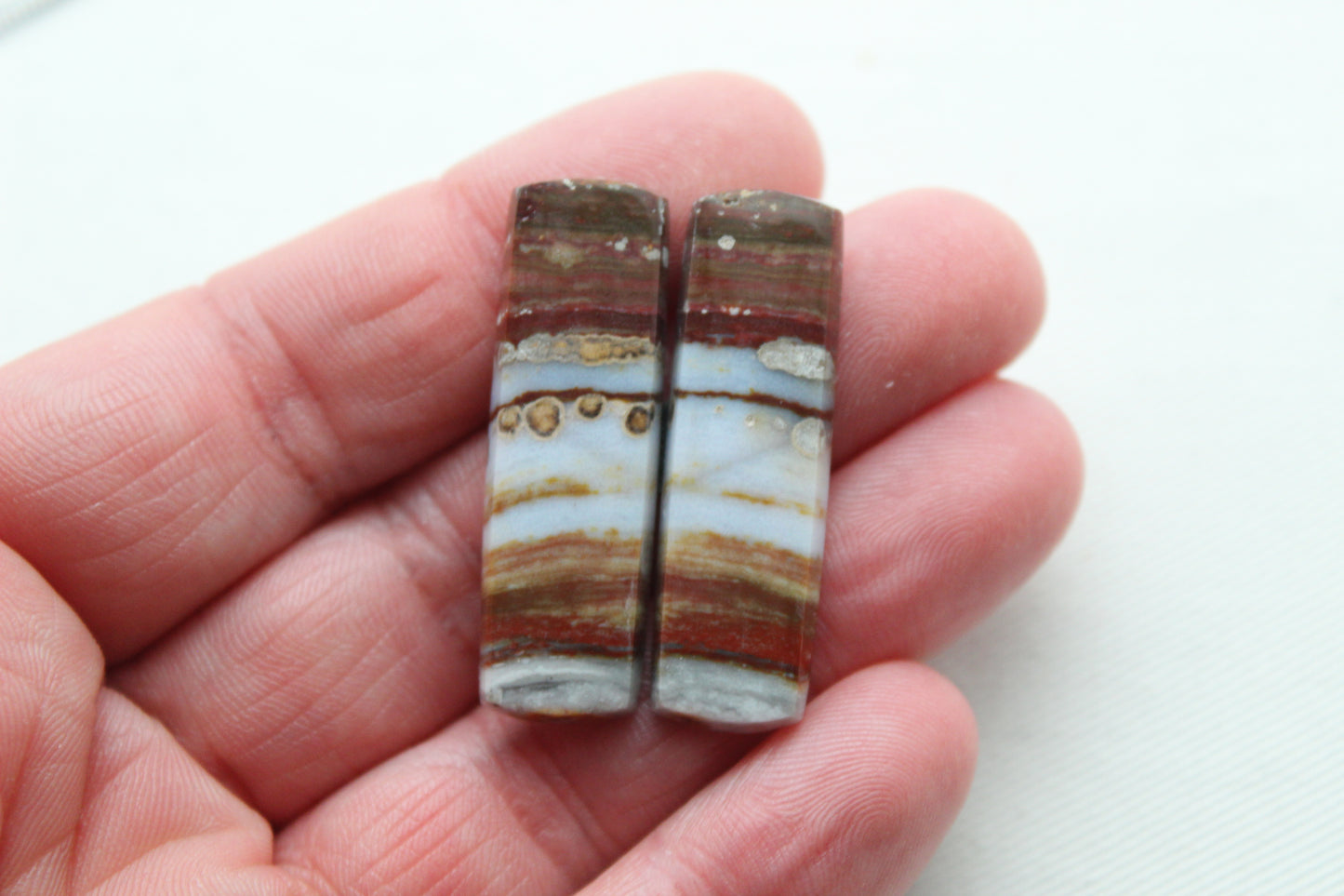 Rectangle pair of Petrified Wood Cabochons