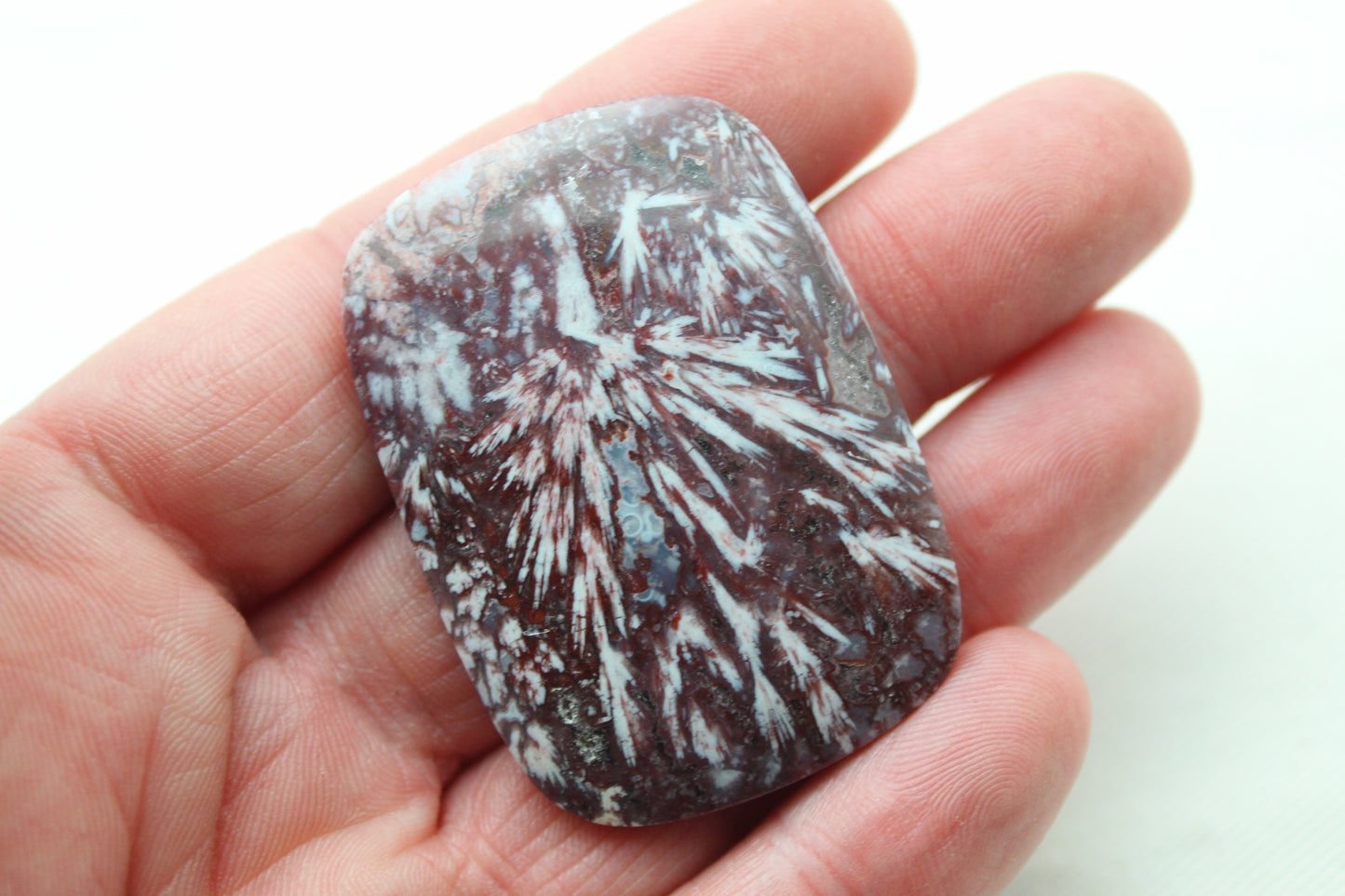 Freeform Sagenite Agate Cabochon Gemstone