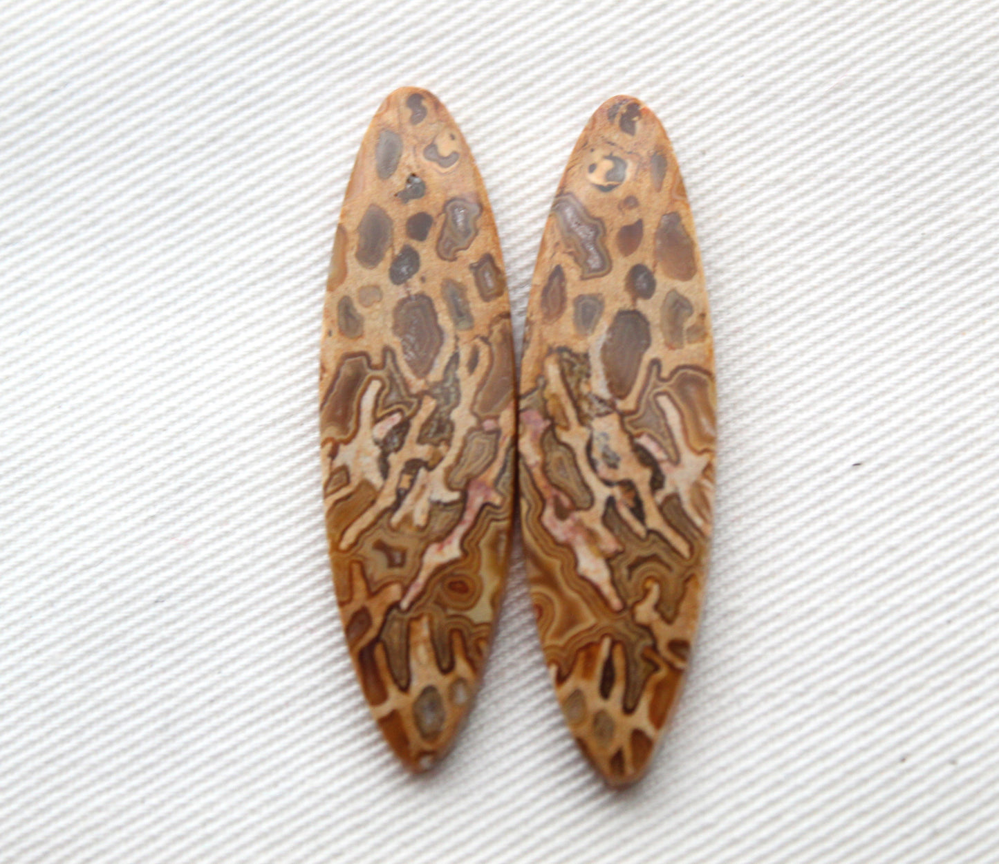 Fossil Palmwood Pair Cabochon Gemstone with druzy pockets Oval