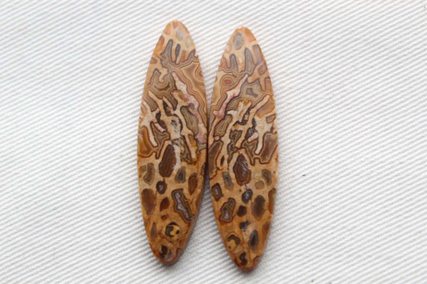 Fossil Palmwood Pair Cabochon Gemstone with druzy pockets Oval
