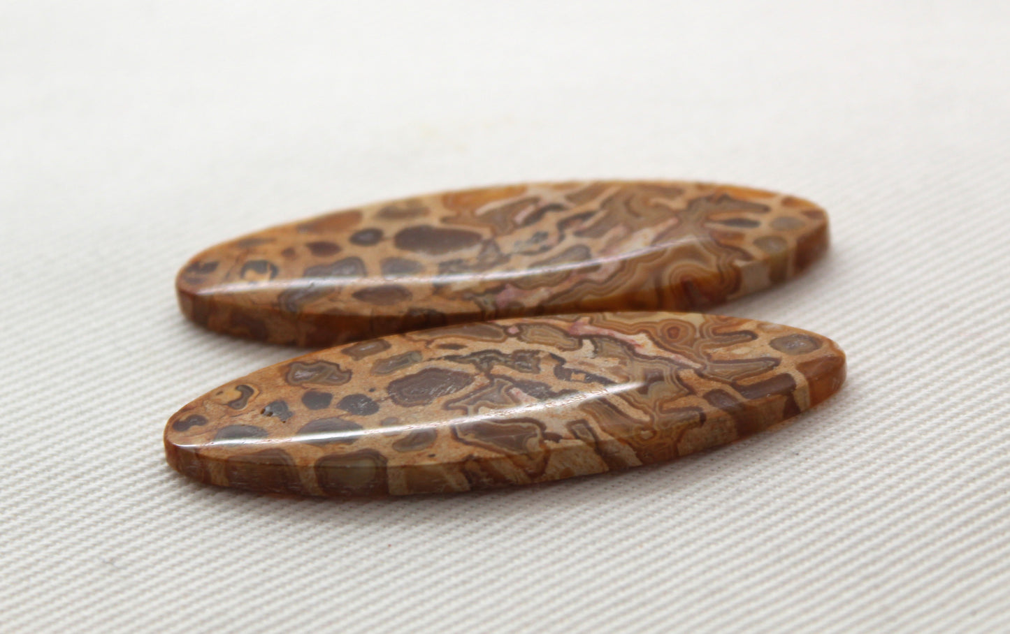 Fossil Palmwood Pair Cabochon Gemstone with druzy pockets Oval