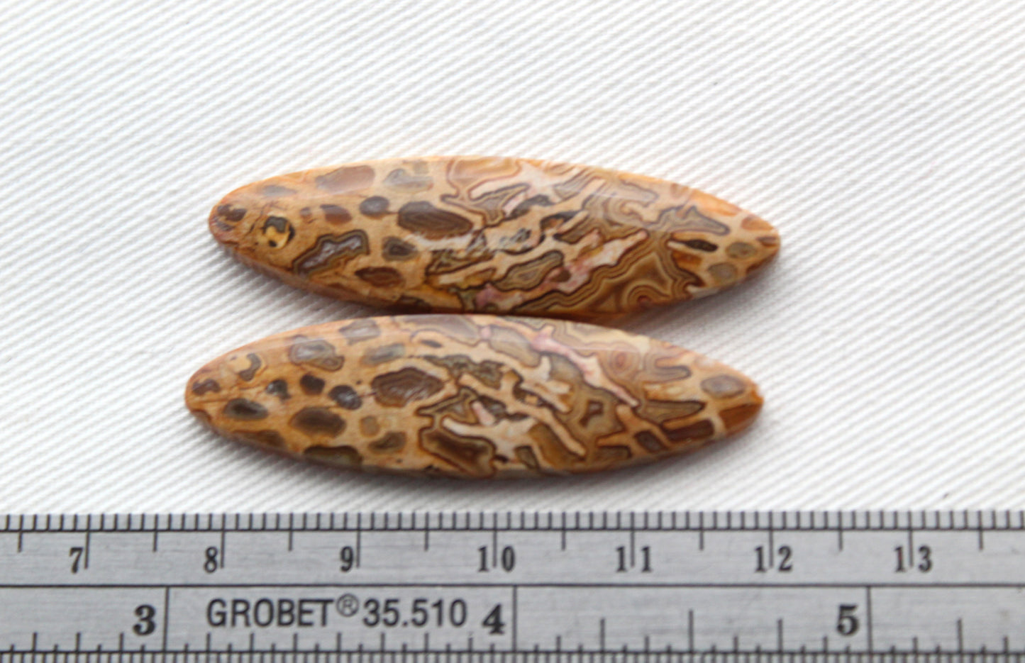 Fossil Palmwood Pair Cabochon Gemstone with druzy pockets Oval