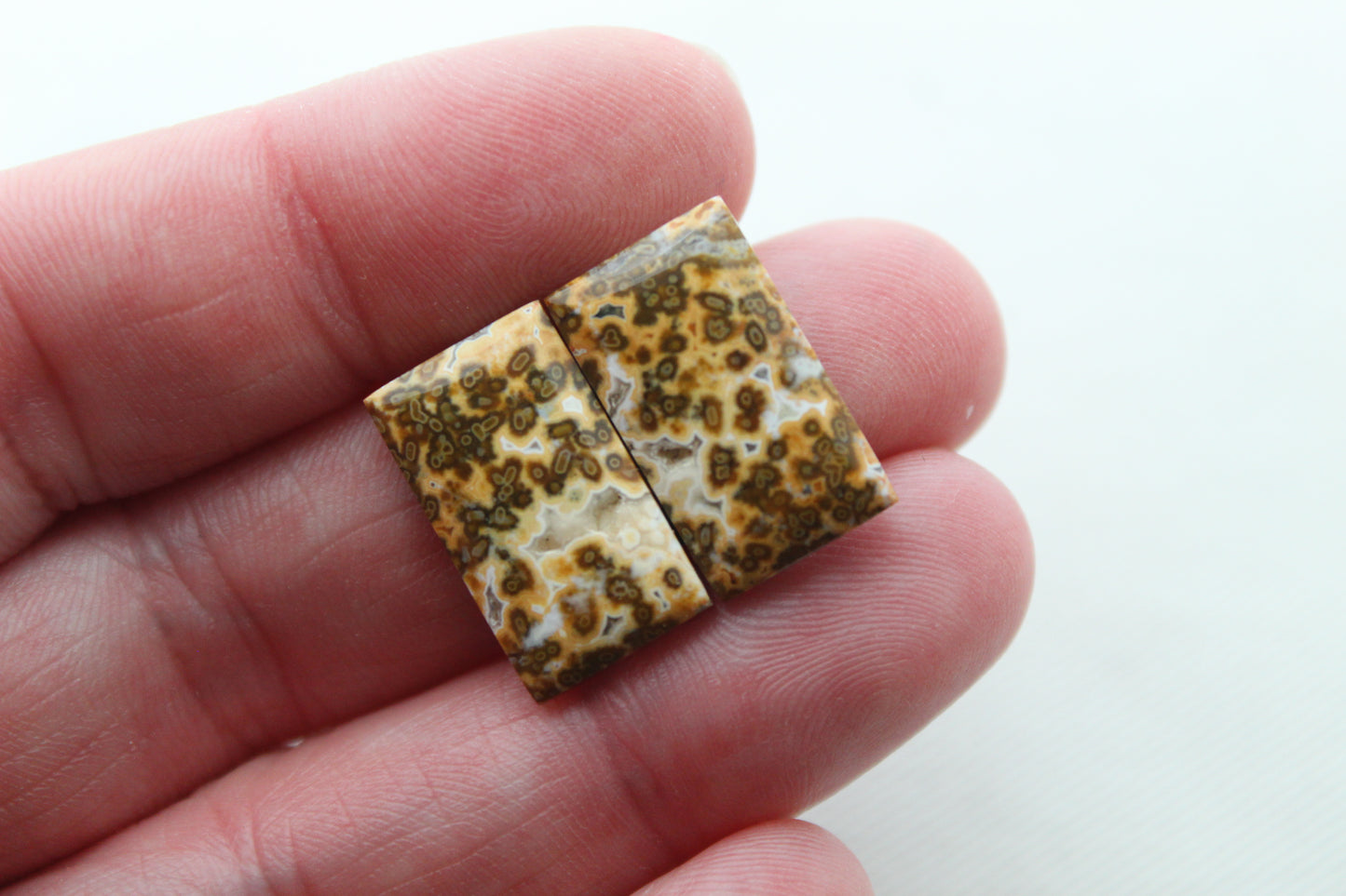 SMALL River Jasper Cabochon Pair Gemstone rectangle