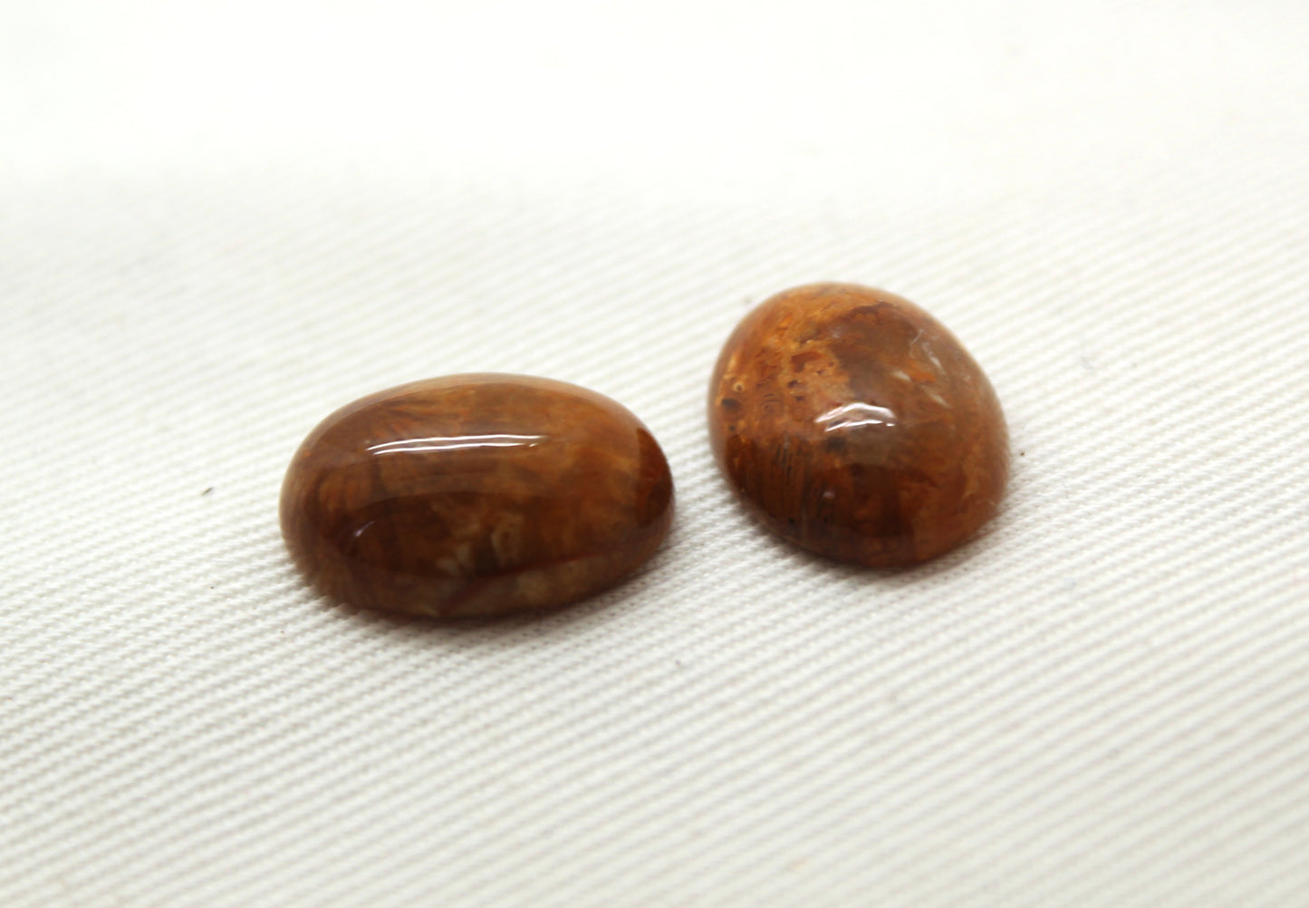 TWO Petrified coral cabochons oval 16X12MM
