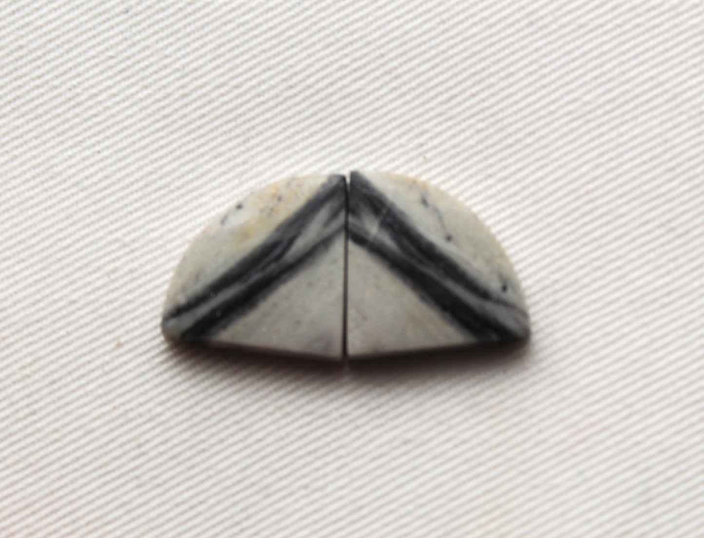 Pair of striped Jasper Cabochons
