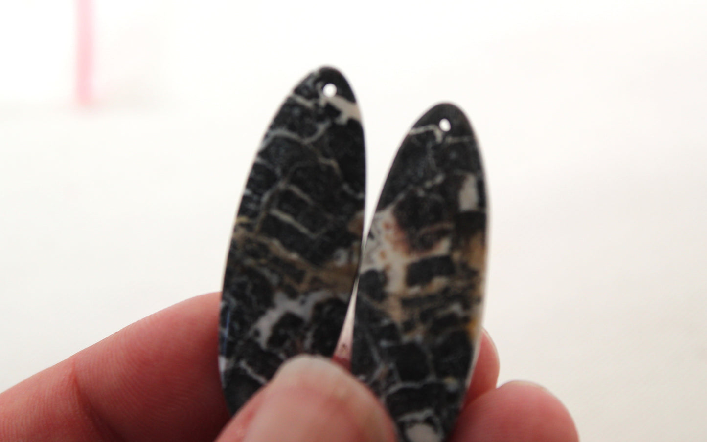 Pair of Petrified Wood Oval DRILLED