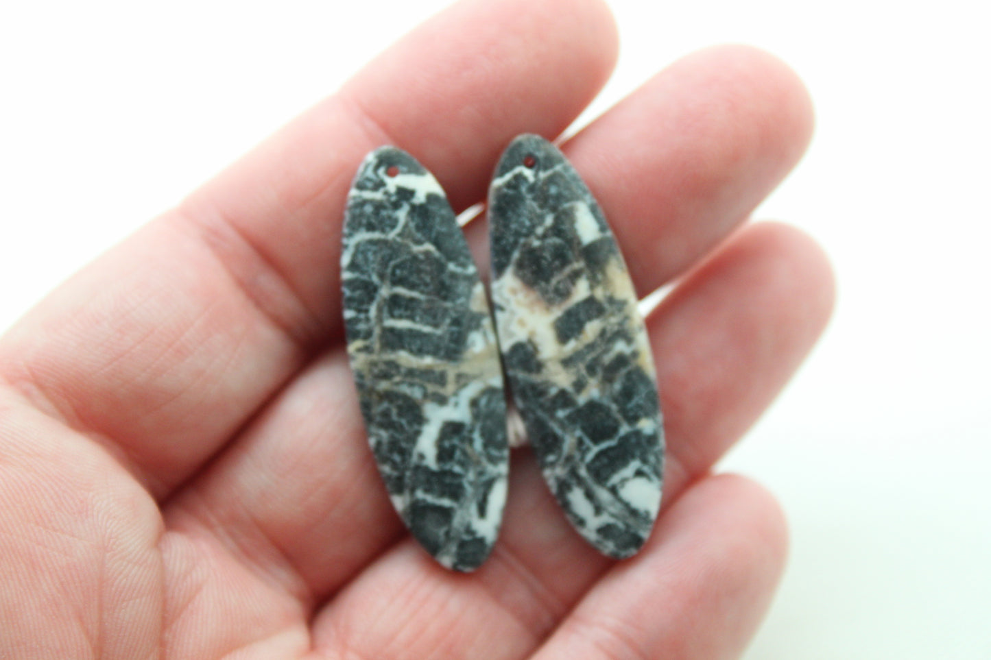 Pair of Petrified Wood Oval DRILLED