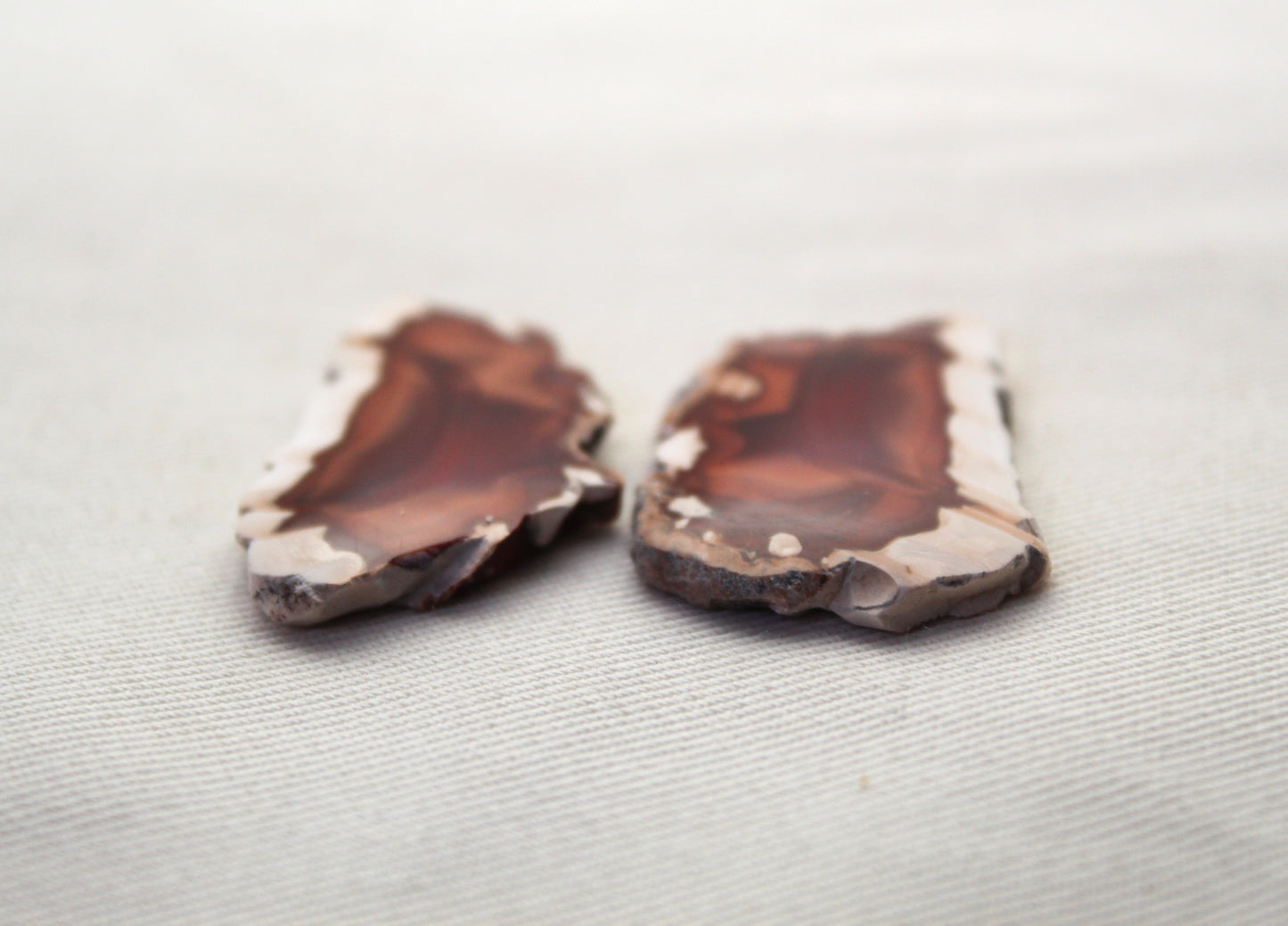 Sliced Agate Pair Gemstones freeform natural