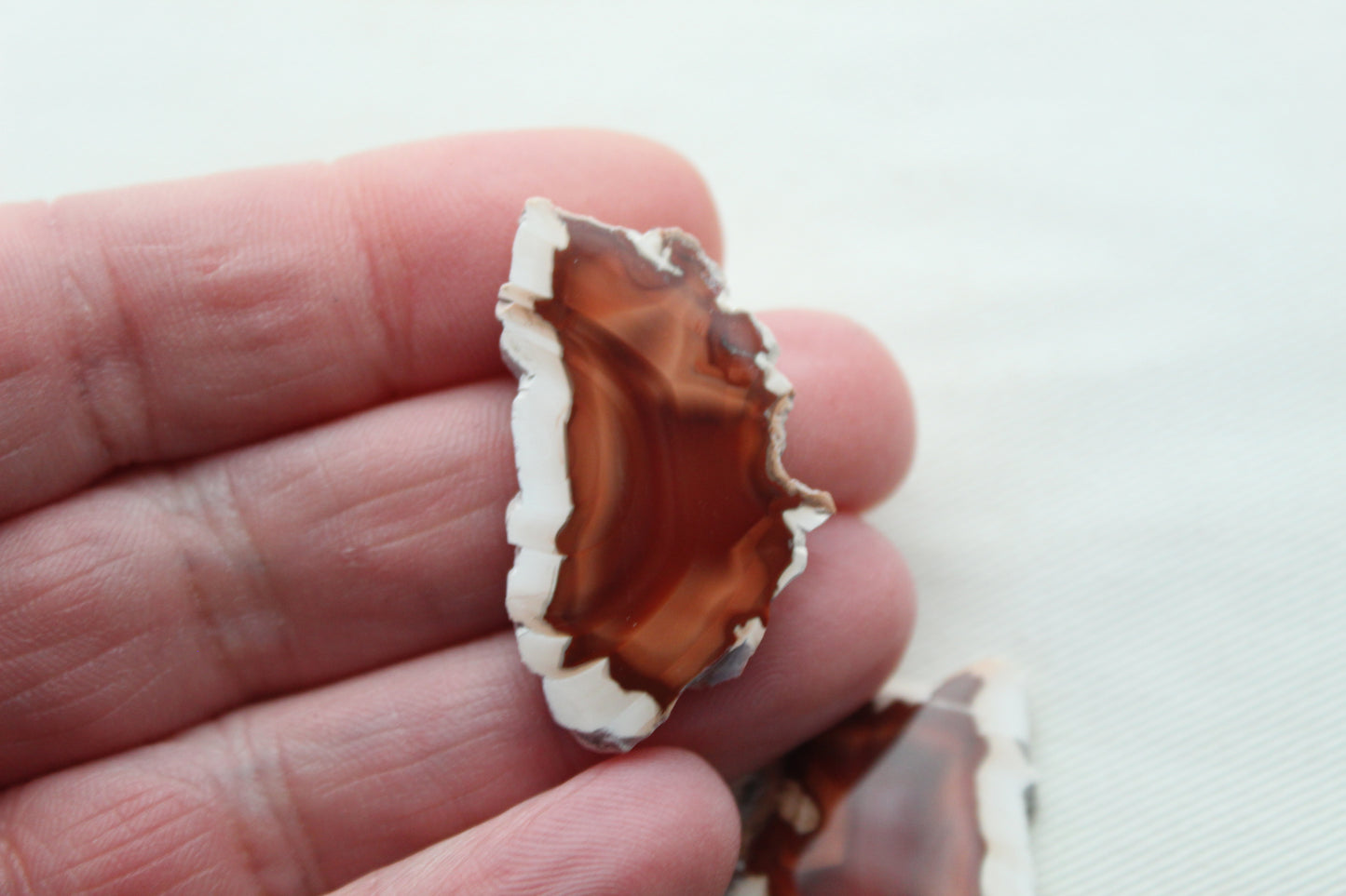 Sliced Agate Pair Gemstones freeform natural