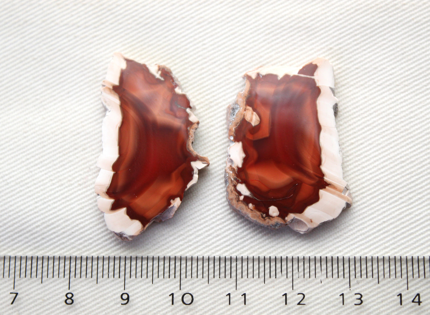 Sliced Agate Pair Gemstones freeform natural