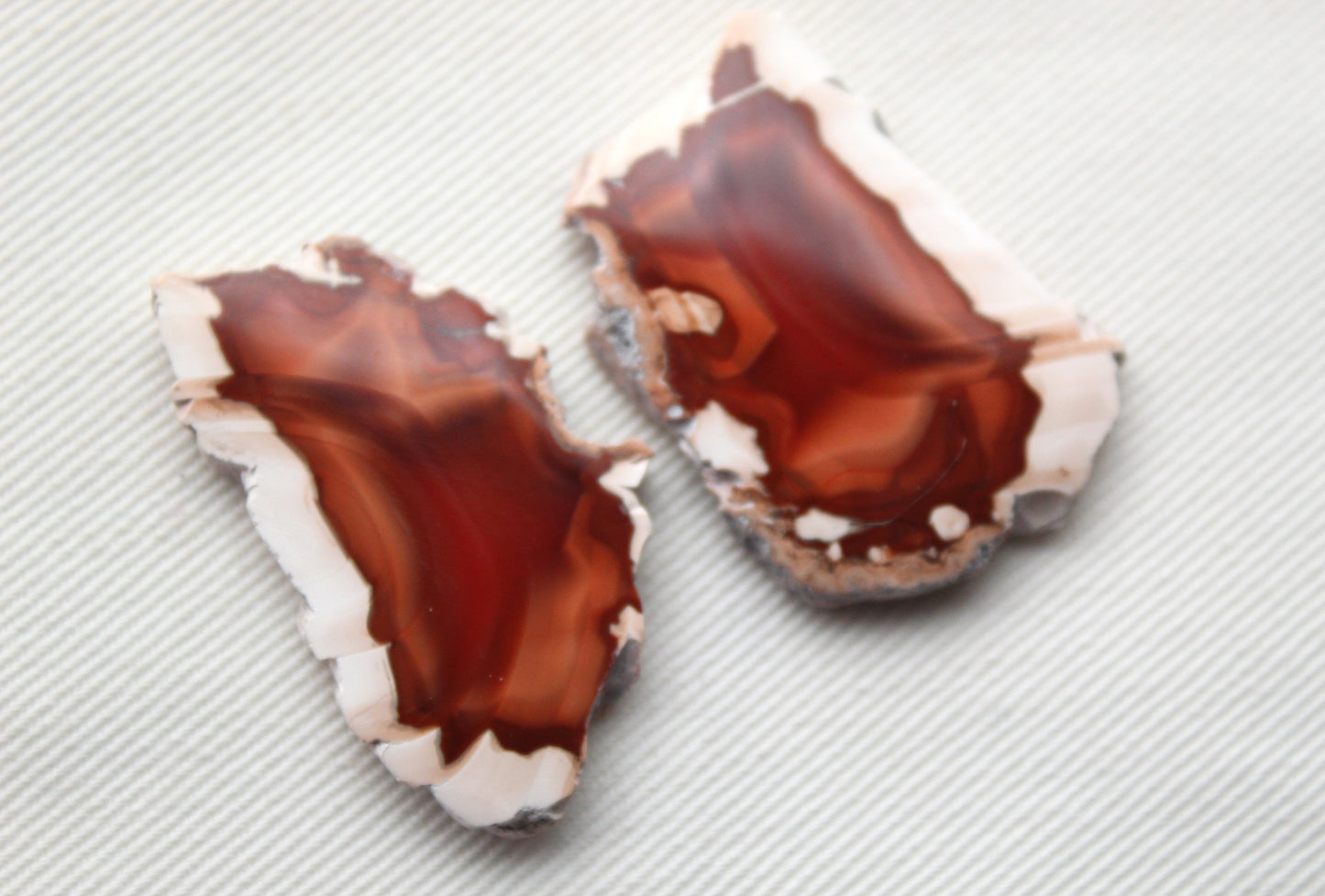 Sliced Agate Pair Gemstones freeform natural