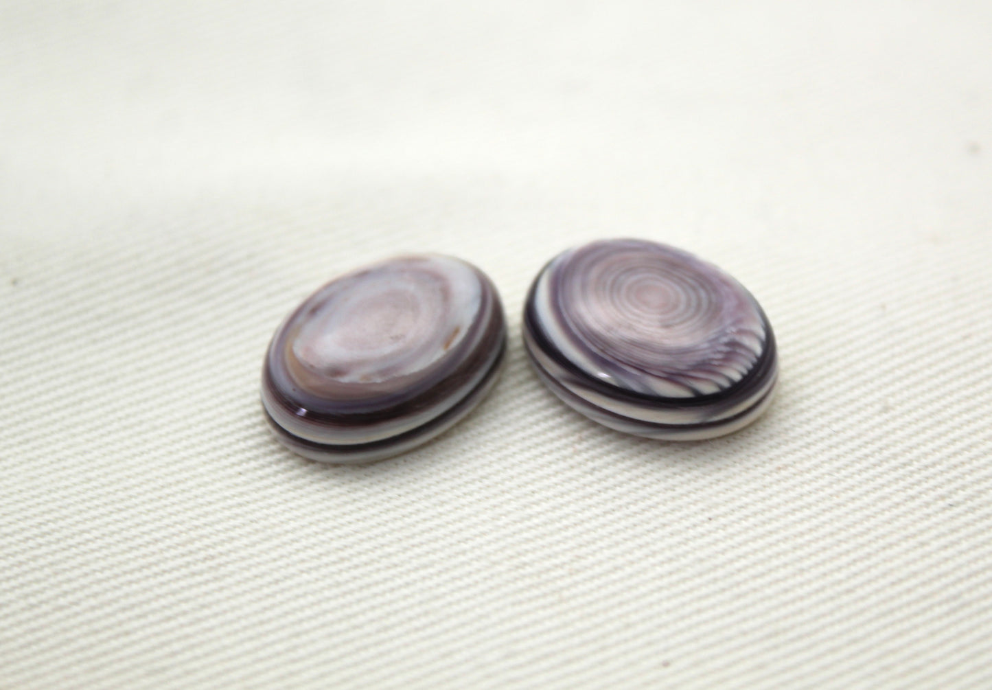 TWO Wampum Quahog Shell Oval 12X16MM purple
