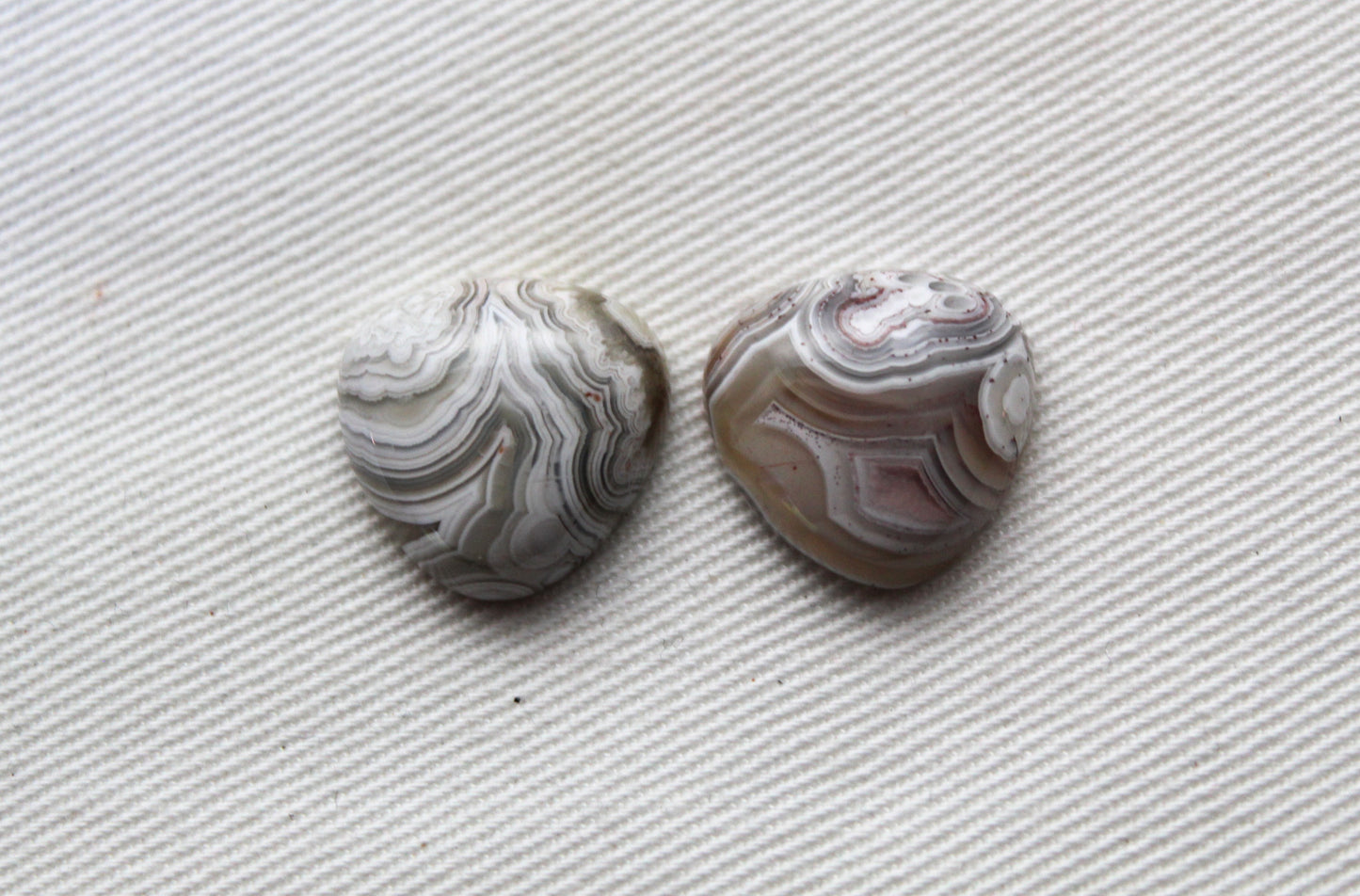 TWO Crazy Lace Agate Cabochons Gemstones trillion 15MM