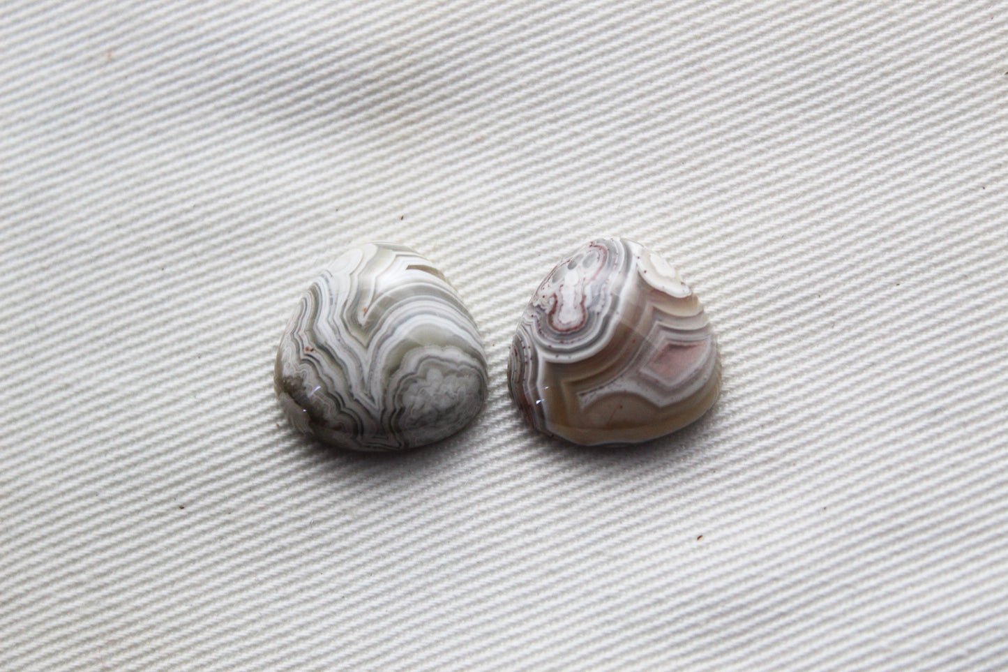 TWO Crazy Lace Agate Cabochons Gemstones trillion 15MM