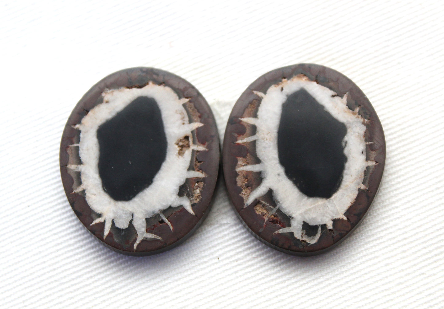 NICE Septarian Nodule Freeform sliced Gemstone Pair