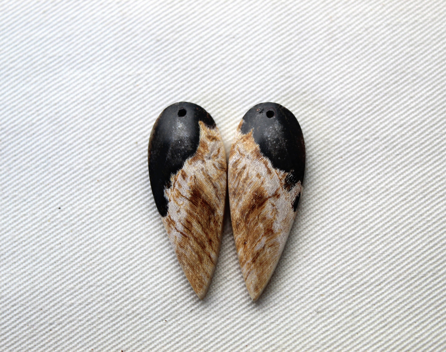 Palmwood Cabochon Pair natural gemstones DRILLED