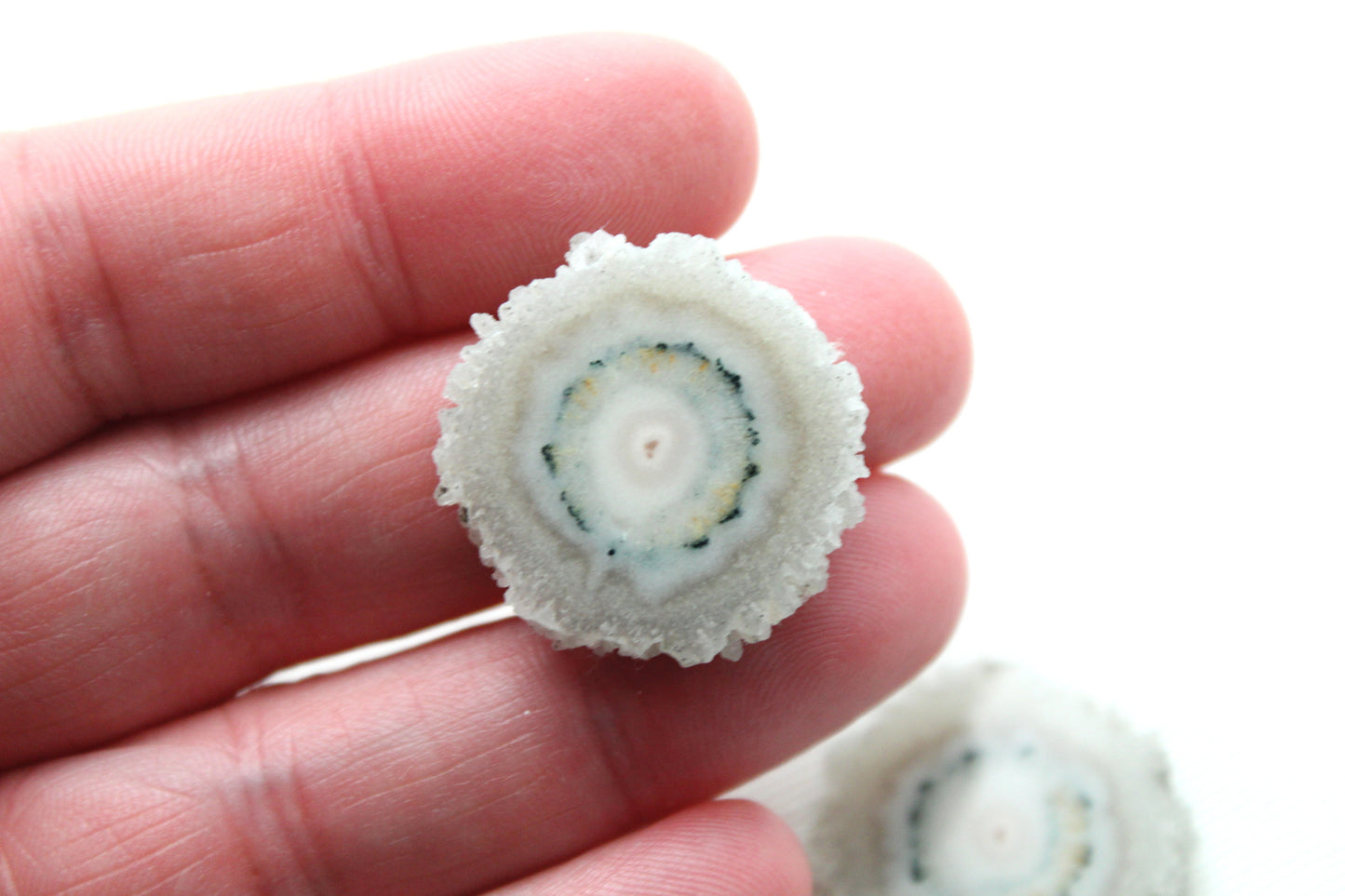 Solar quartz Pair gemstone freeform white green Stalactite slice
