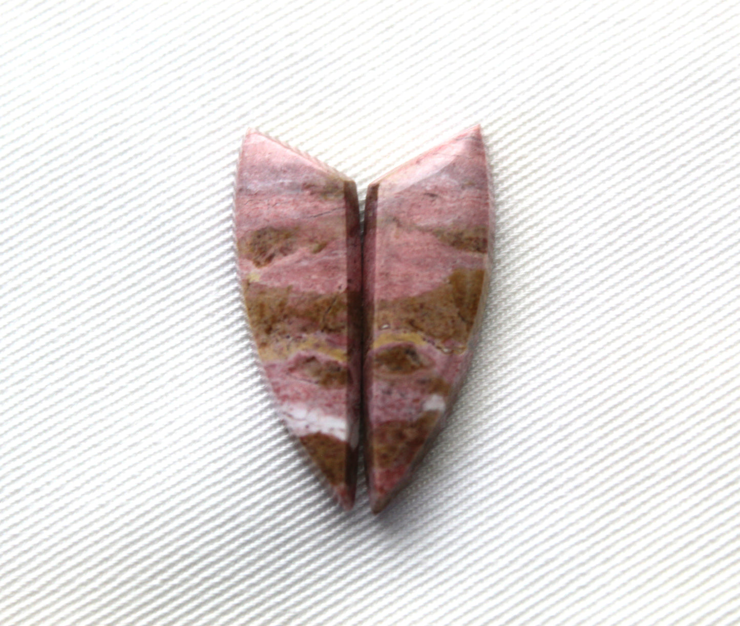 Pink Fossil Wood Pair of Gemstones cabochon natural