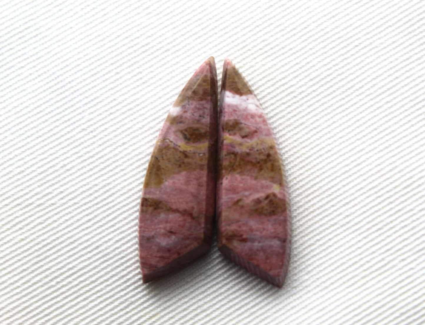Pink Fossil Wood Pair of Gemstones cabochon natural