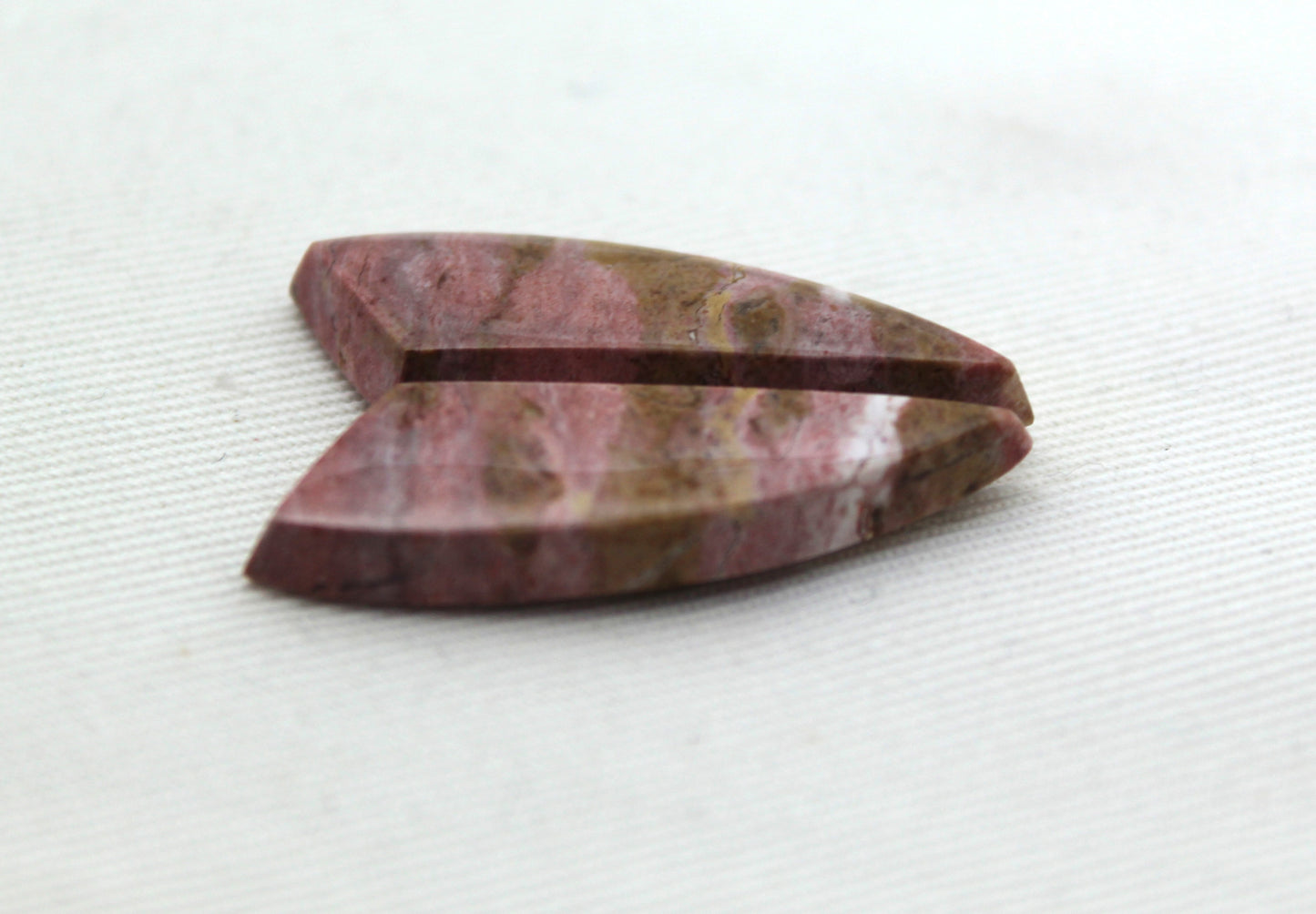 Pink Fossil Wood Pair of Gemstones cabochon natural
