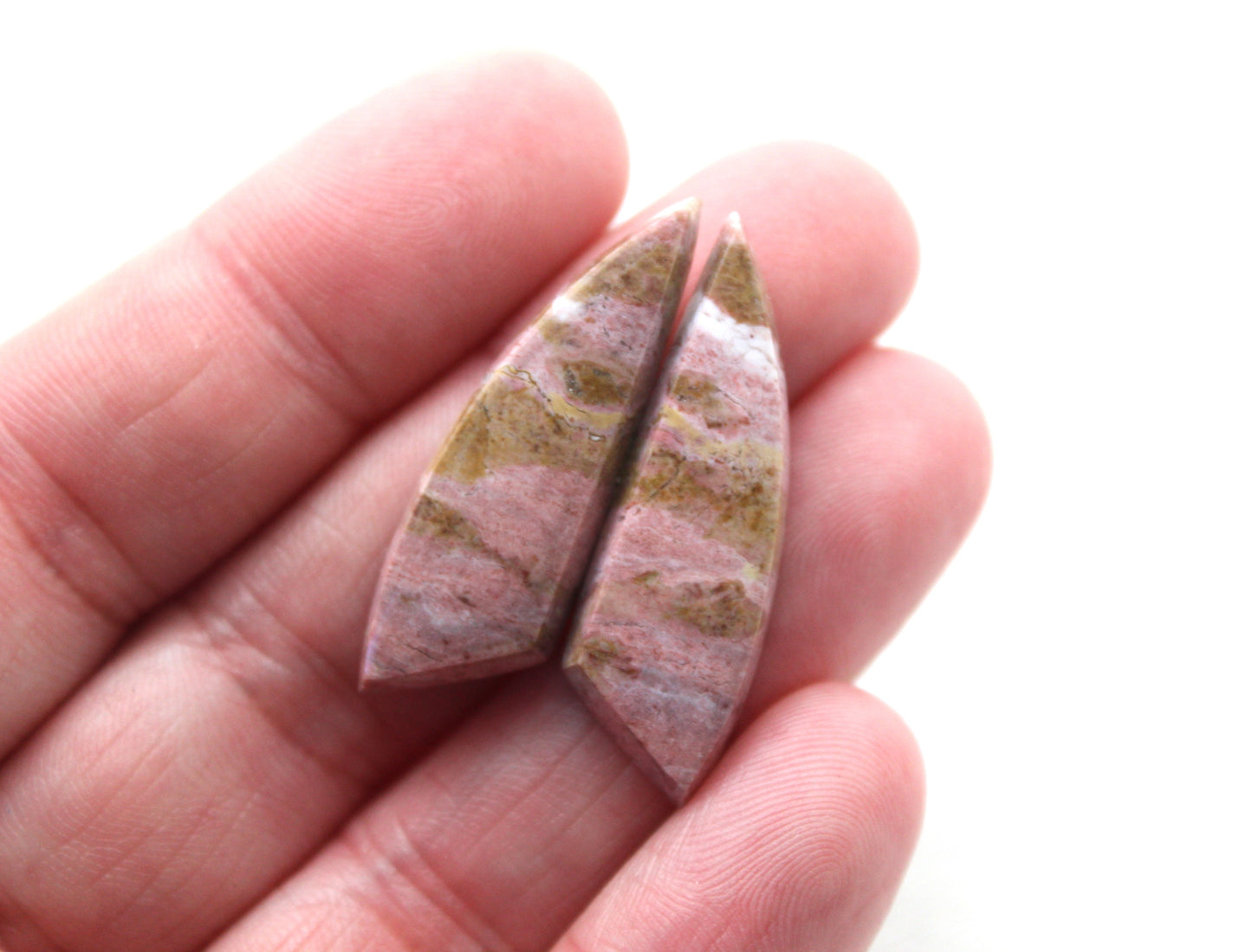 Pink Fossil Wood Pair of Gemstones cabochon natural