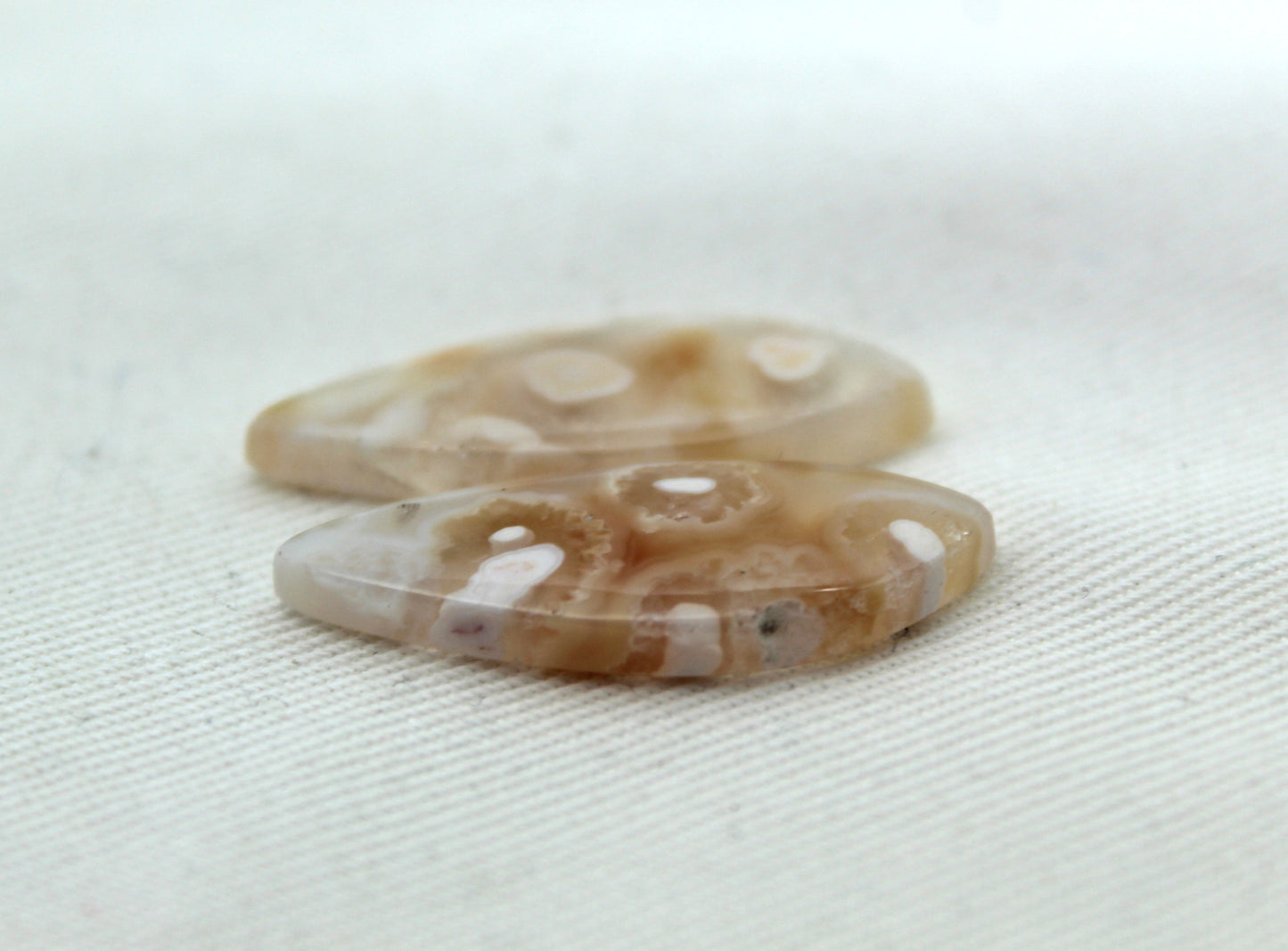 Orbicular Agate Cabochons Pair Gemstone natural