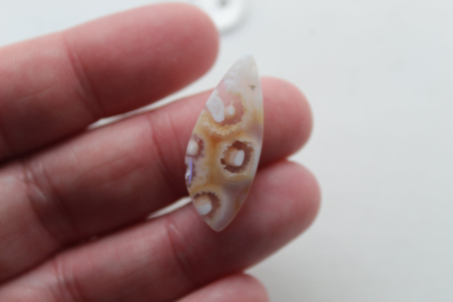 Orbicular Agate Cabochons Pair Gemstone natural