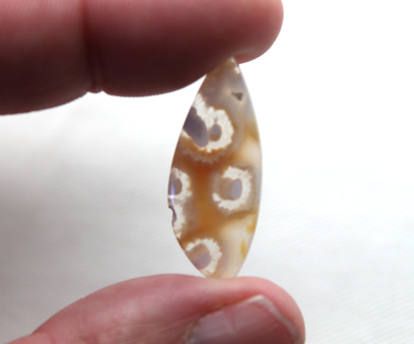 Orbicular Agate Cabochons Pair Gemstone natural