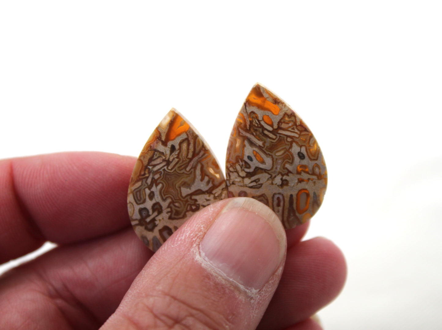 Fossil Palmwood Pair Cabochon Gemstone with druzy pockets