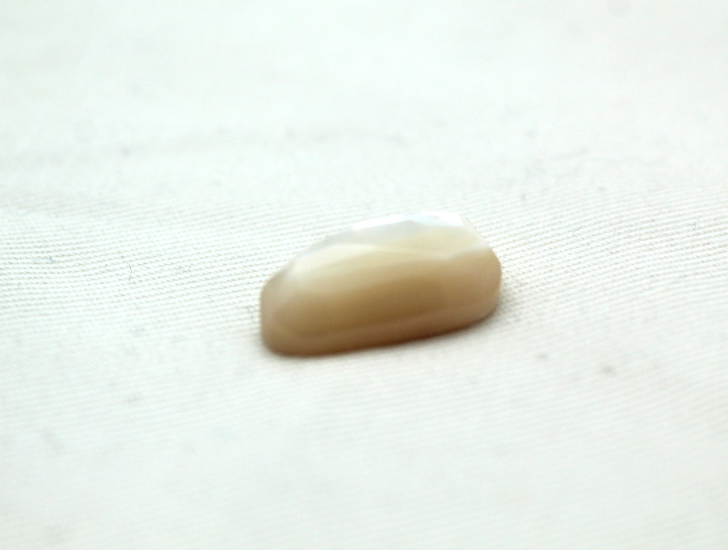 DEUX cabochons Nacre Pierres gemmes rondes 10MM