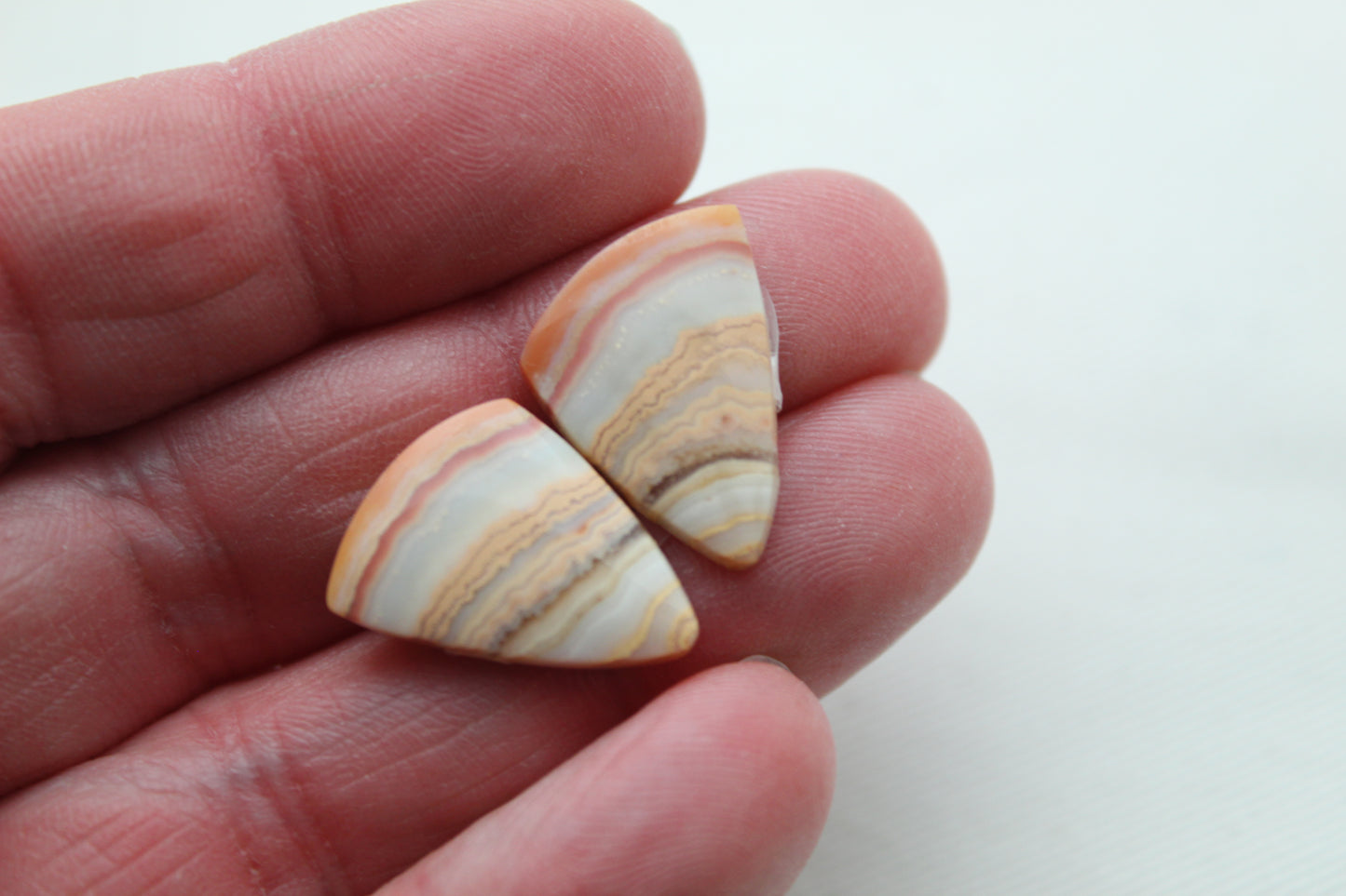 Lace Agates Cabochons Gemstone Pair freeform multicolors