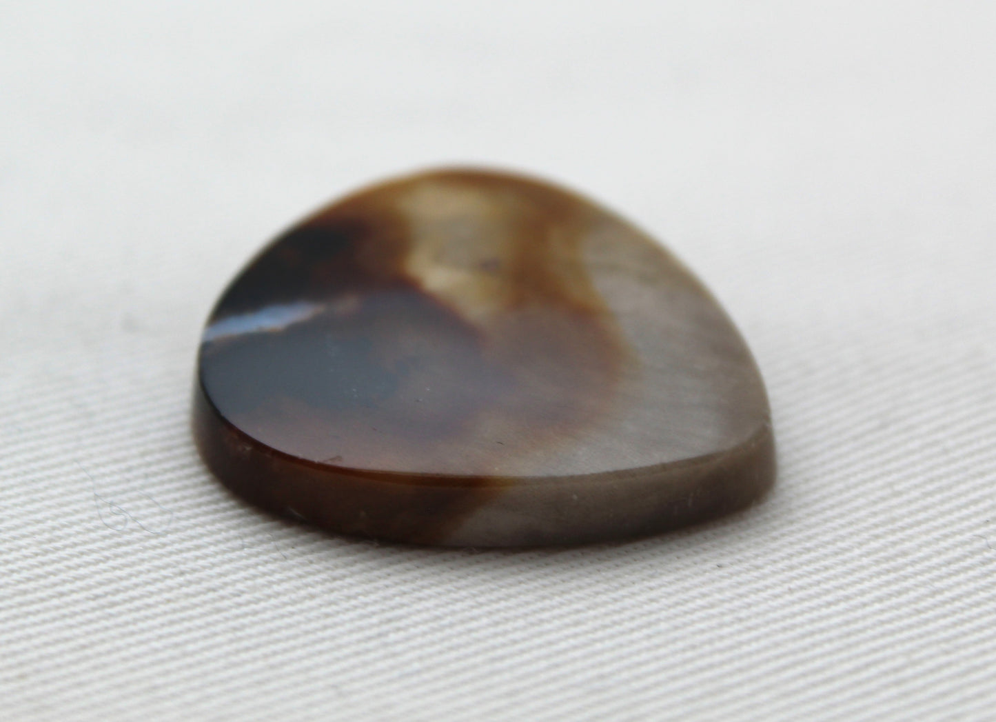 Petrified Wood Gemstone Cabochon