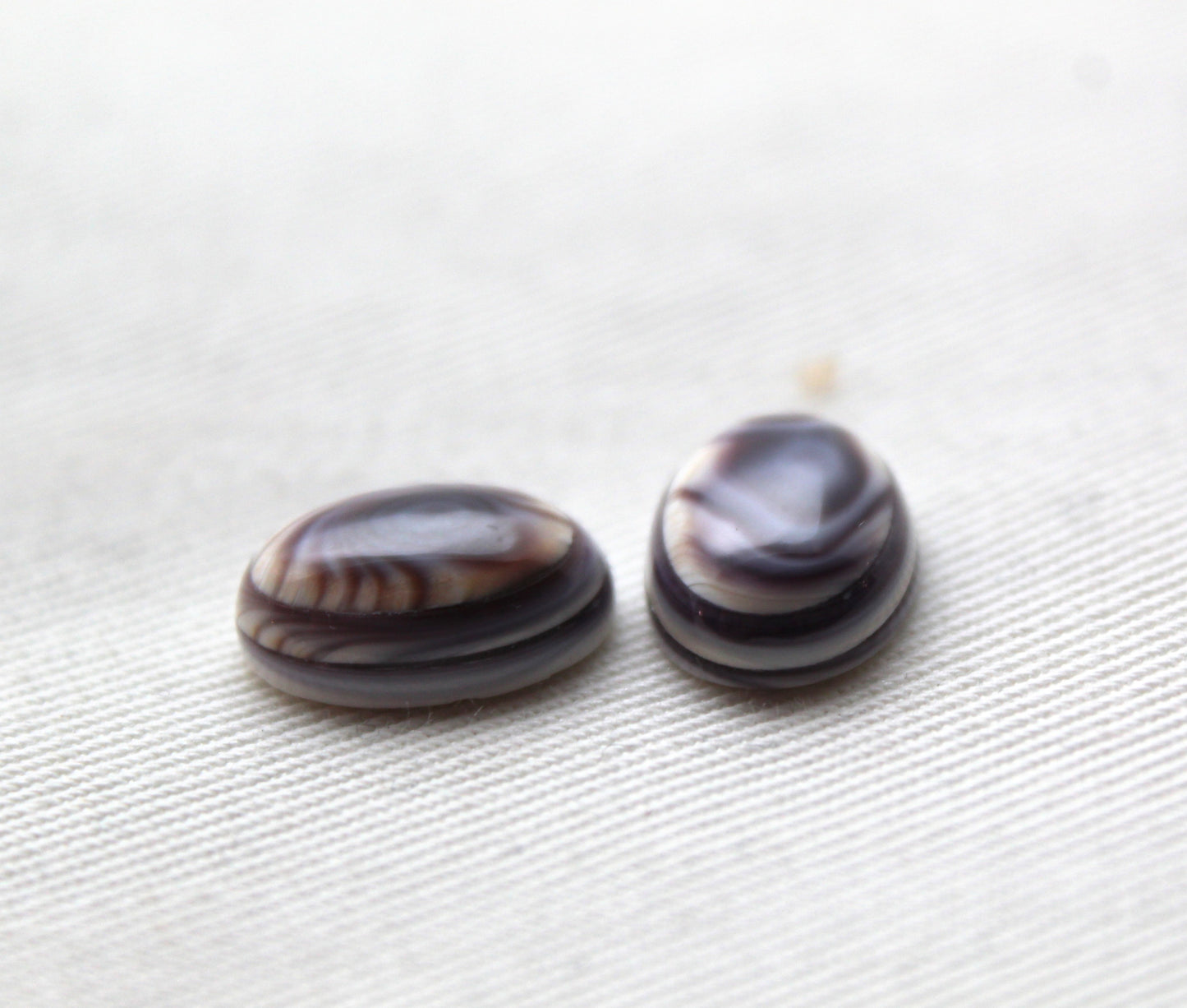TWO Wampum Quahog Shell Oval 10x14MM