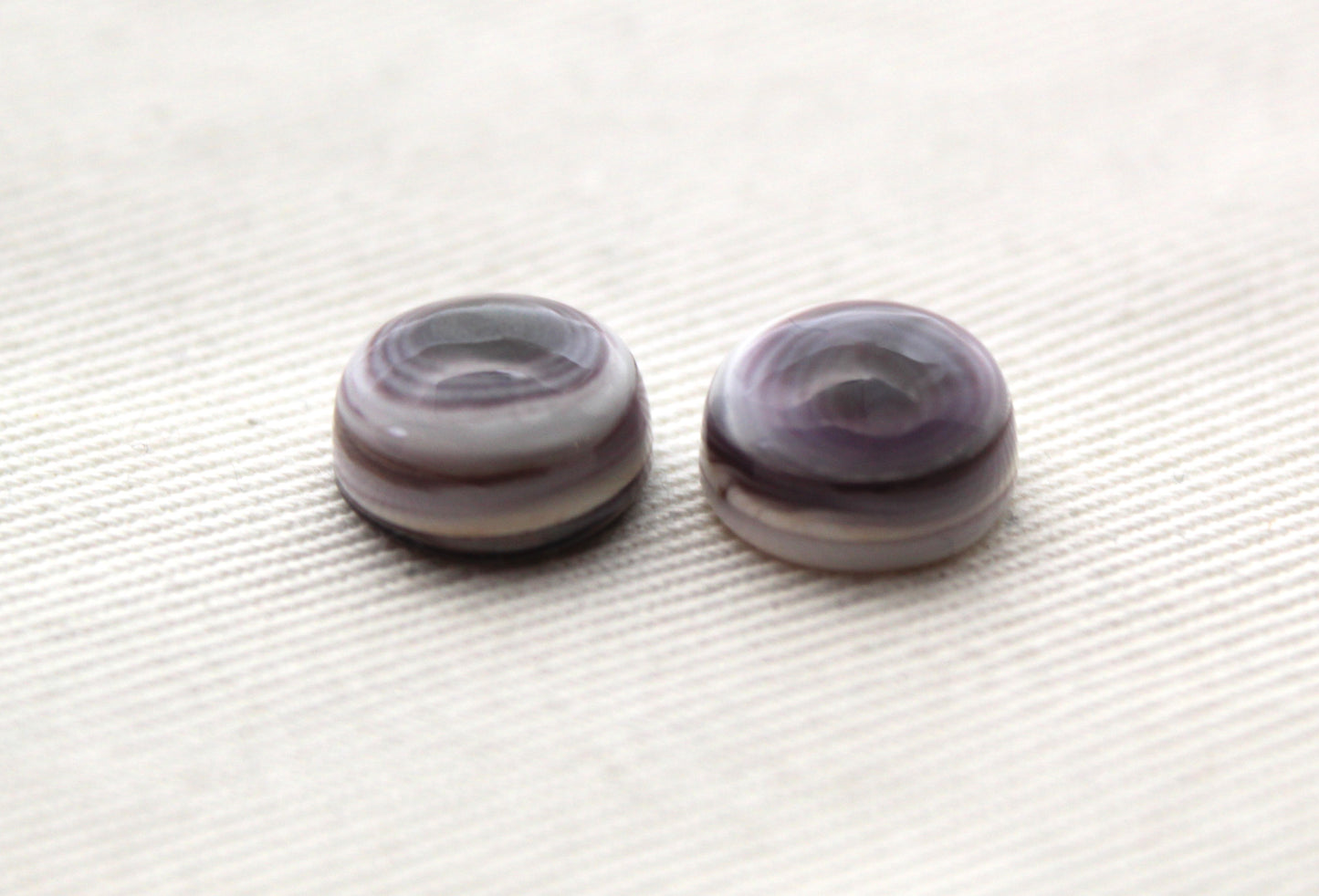TWO Wampum Quahog Shell round 10MM purple