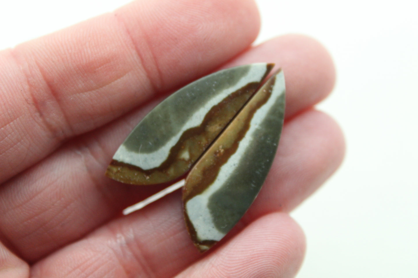 Paire assortie de Cabochons en Jaspe polychrome