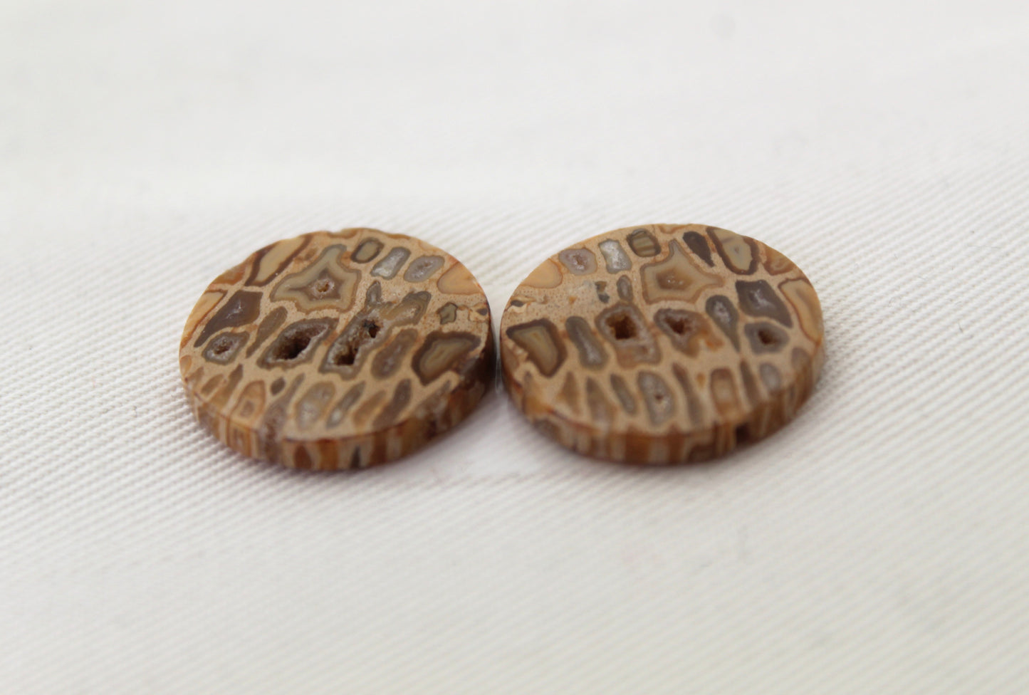 Fossil Palmwood Pair Cabochon Gemstone with druzy pockets