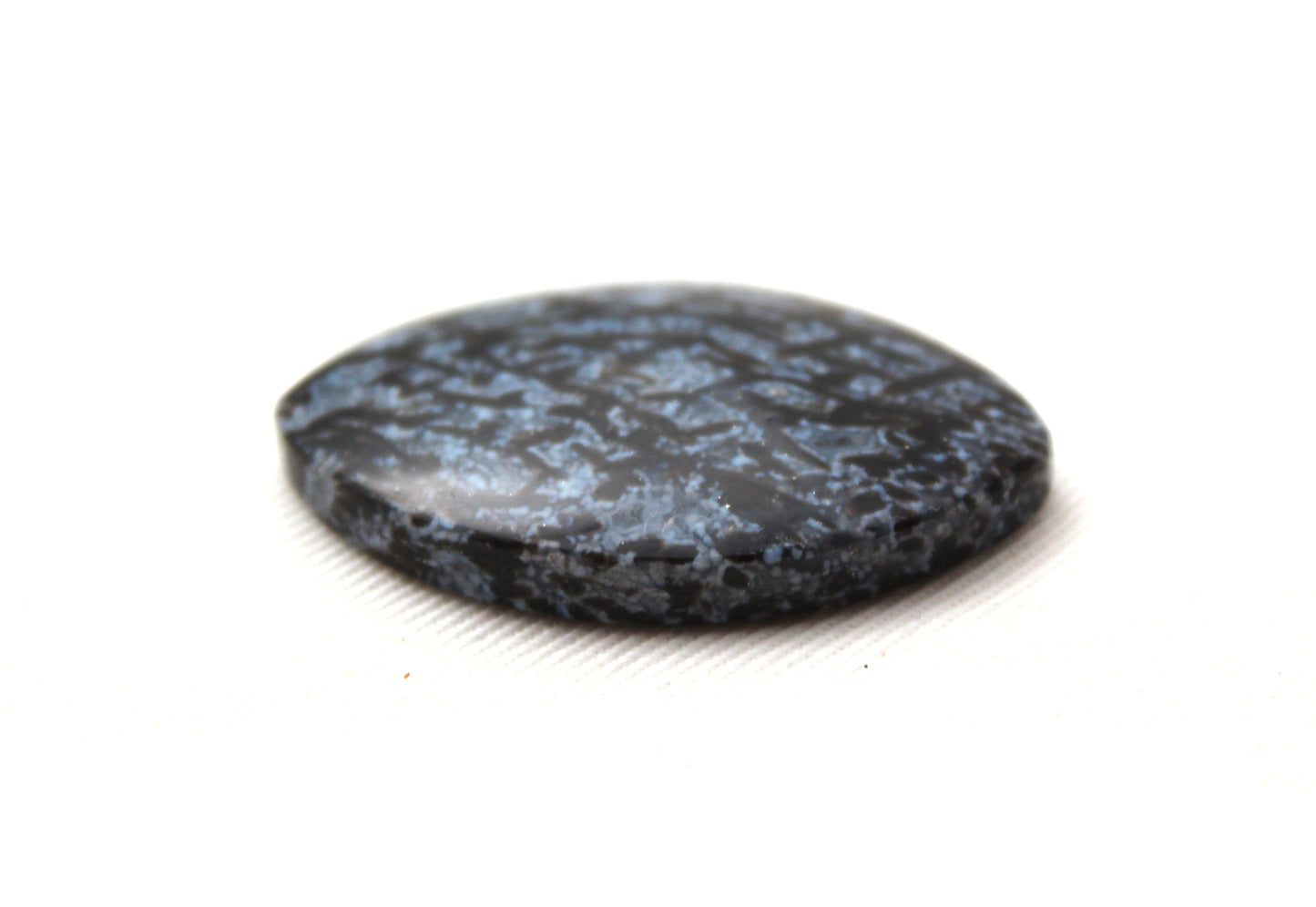 Agatized Palm Root Cabochon Gemstone Marquise Blue