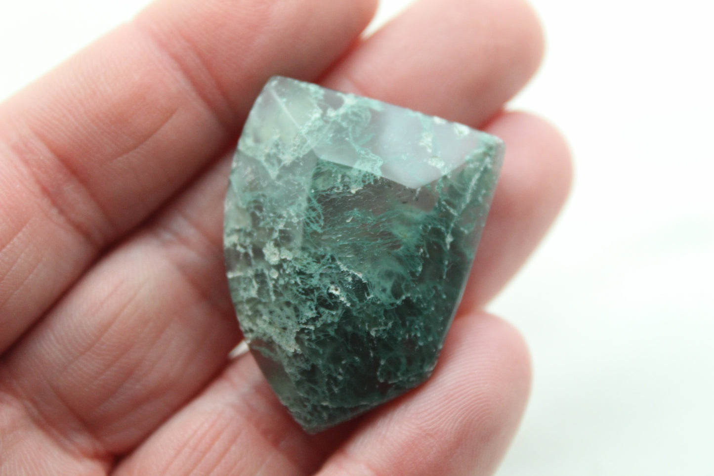 Pierre précieuse en forme de bouclier en forme de cabochon d'agate mousse verte