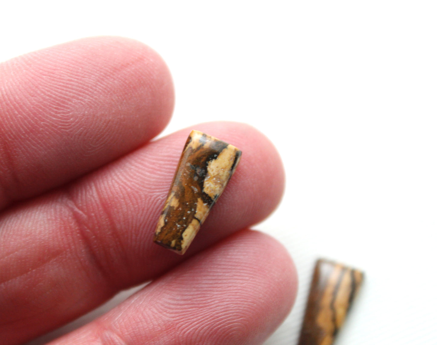 Small pair of Picture Jasper Cabochons beige 7x14MM