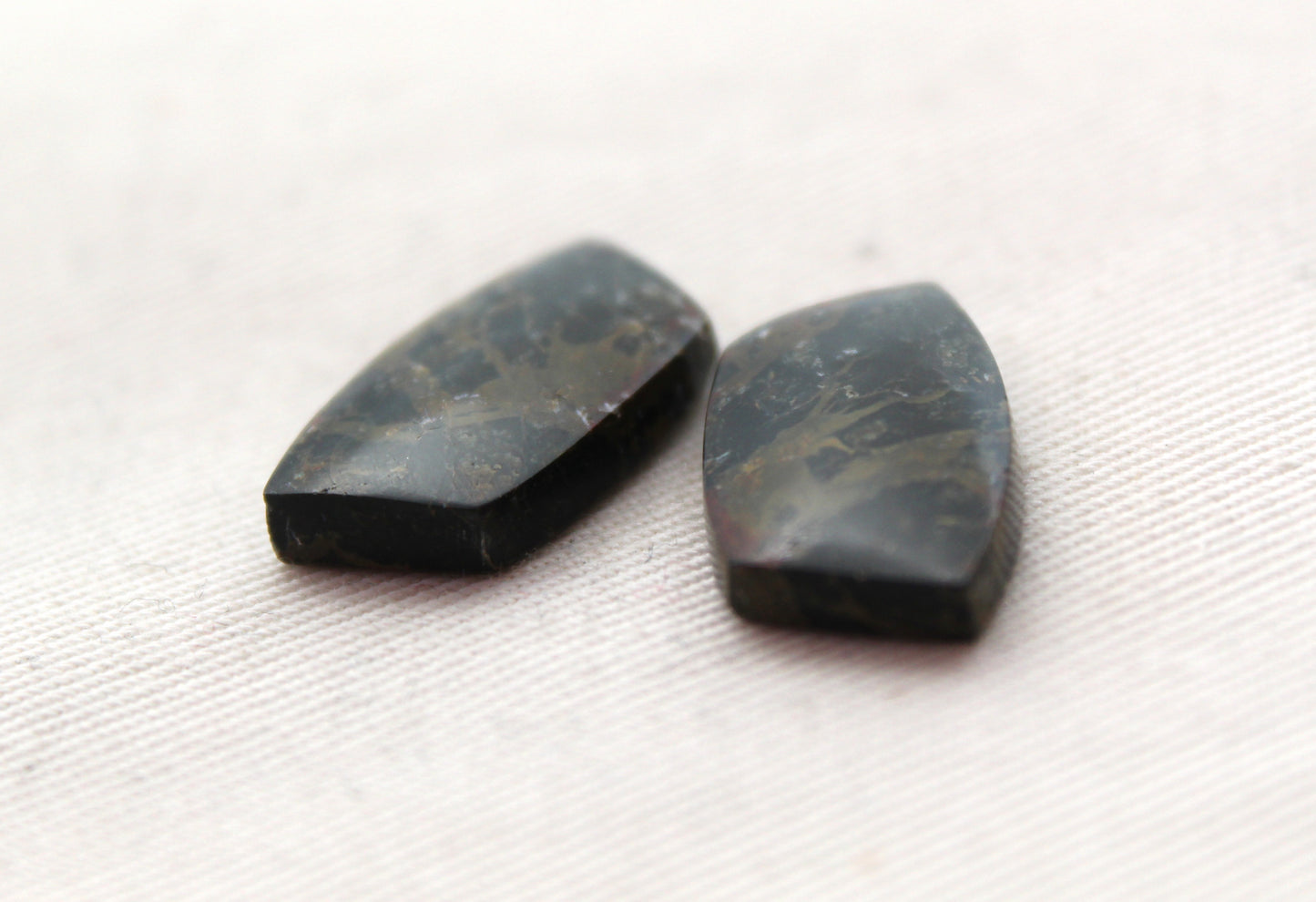 Small Petrified Wood Cabochon Pair natural gemstones