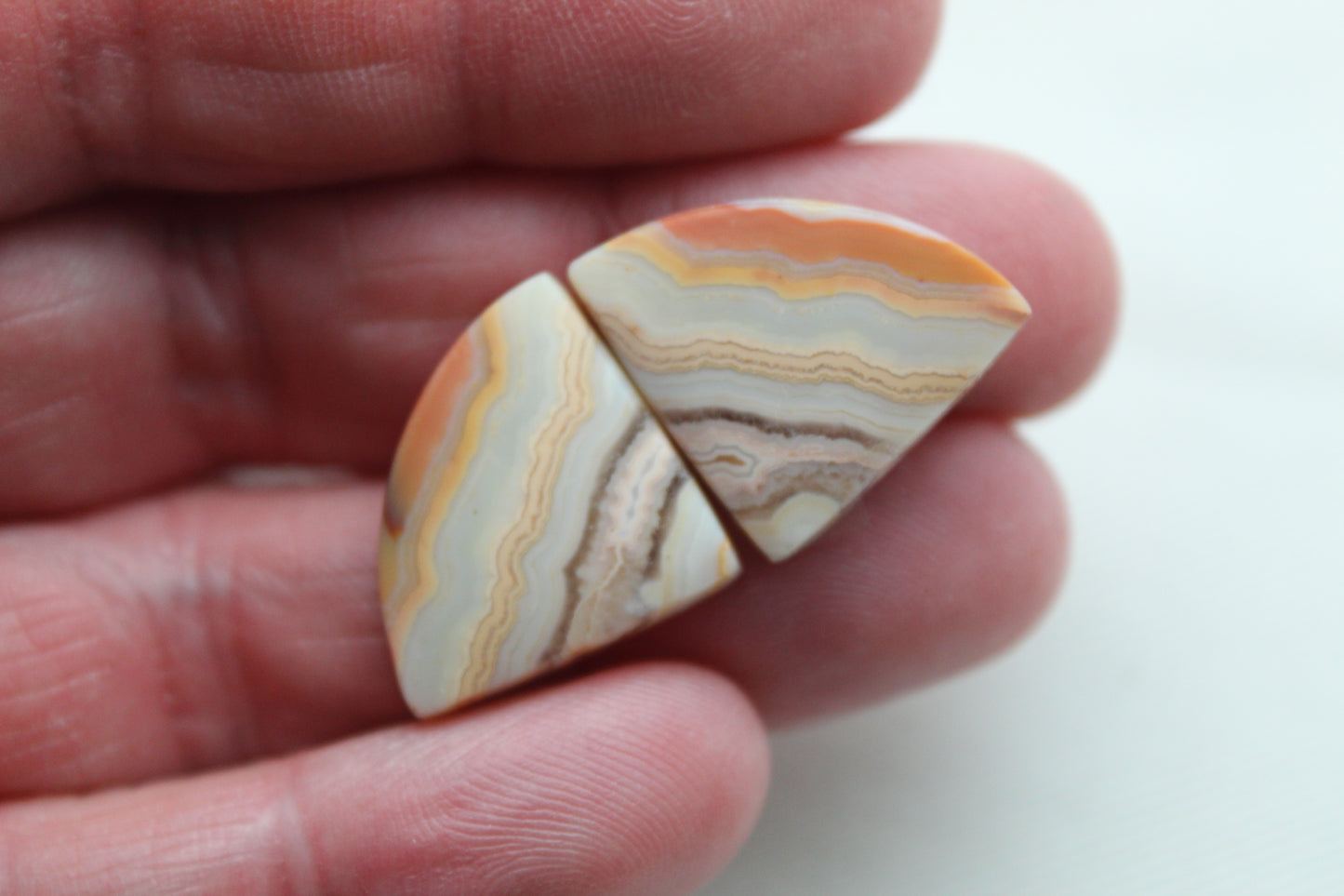 Lace Agates Cabochons Gemstone Pair multicolors