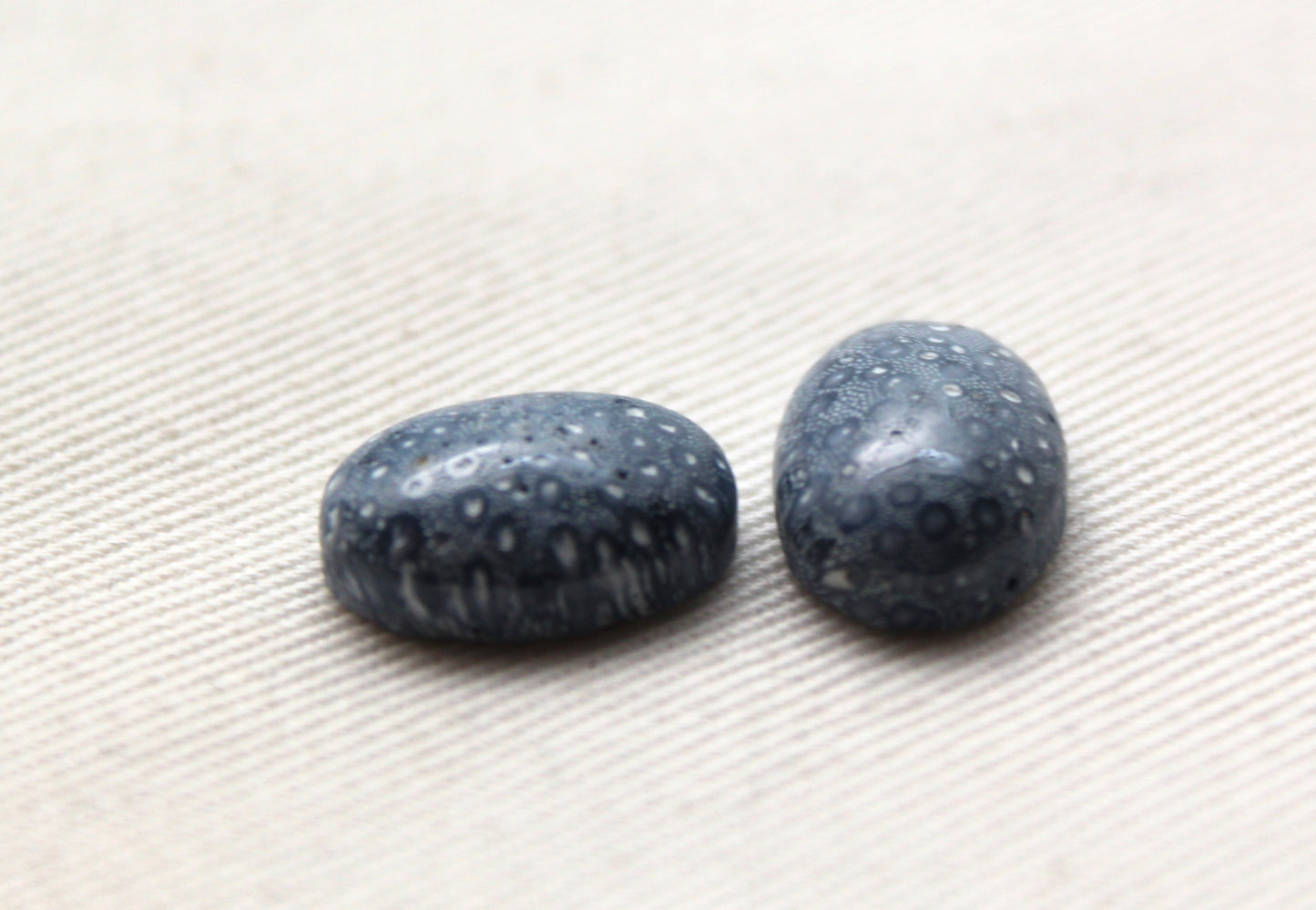 Pierre précieuse de corail éponge bleu 15X20MM ovale