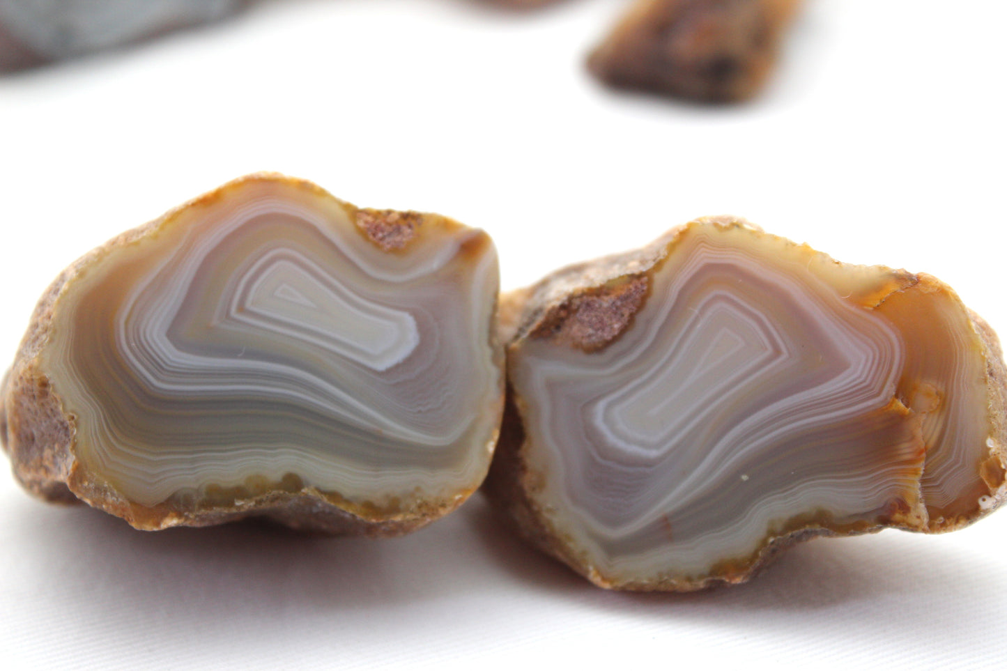 Indonesian Agate nodule polished