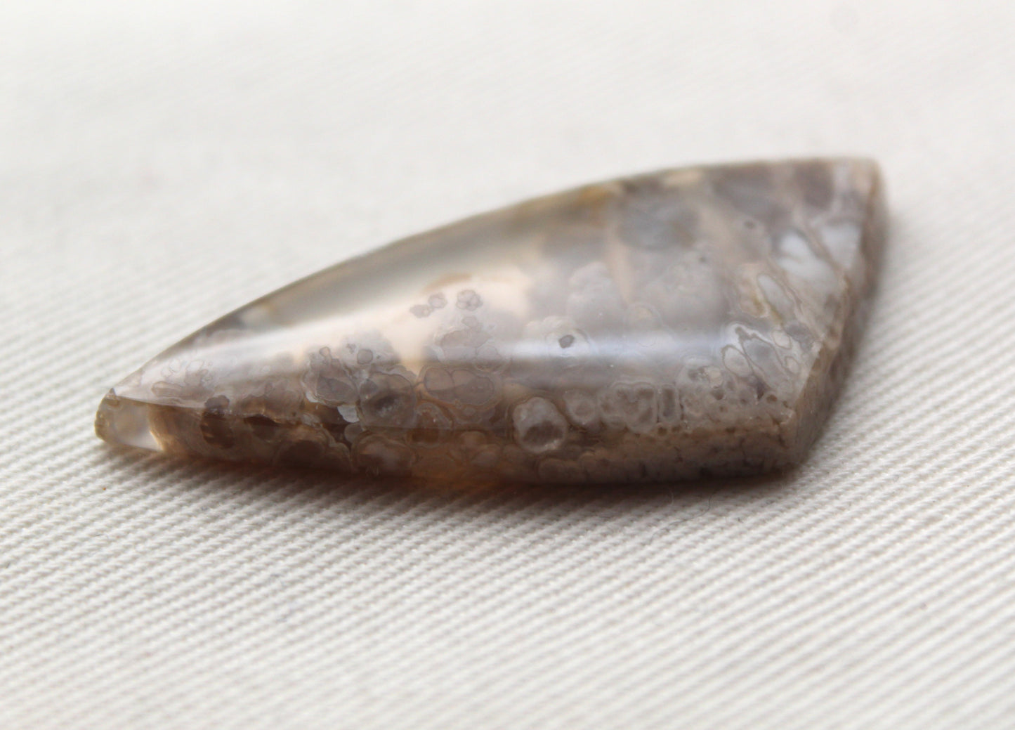 Pierre gemme de cabochon d'agate panache mexicaine