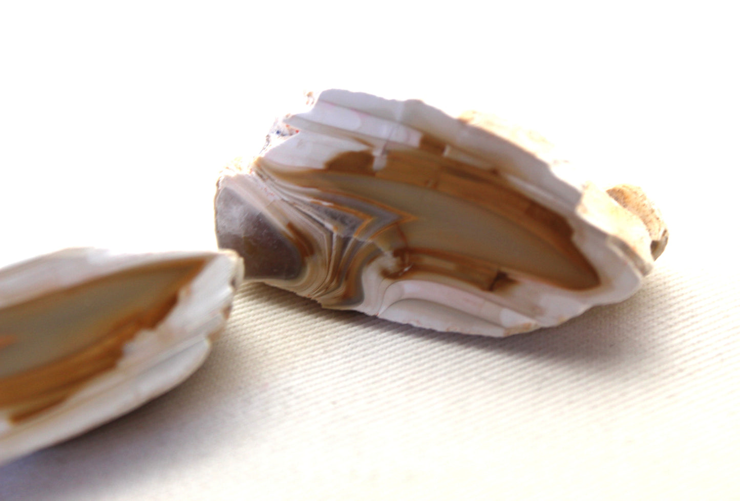 Small Indonesian banded Agate nodule polished yellow white