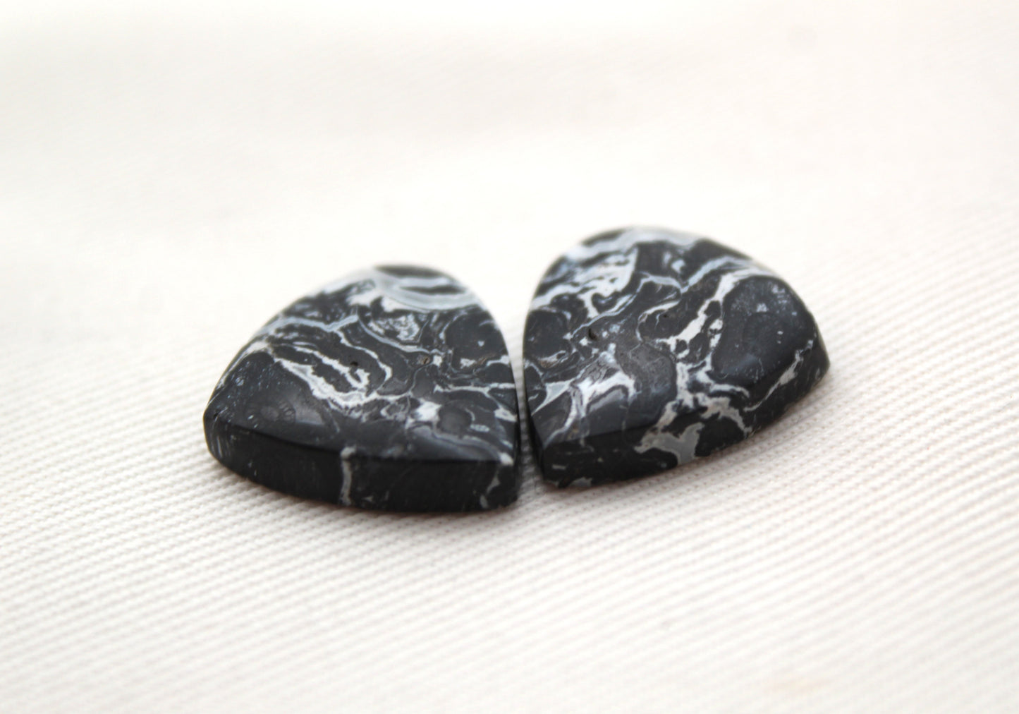 Black Palm Root Cabochon Pair natural gemstones